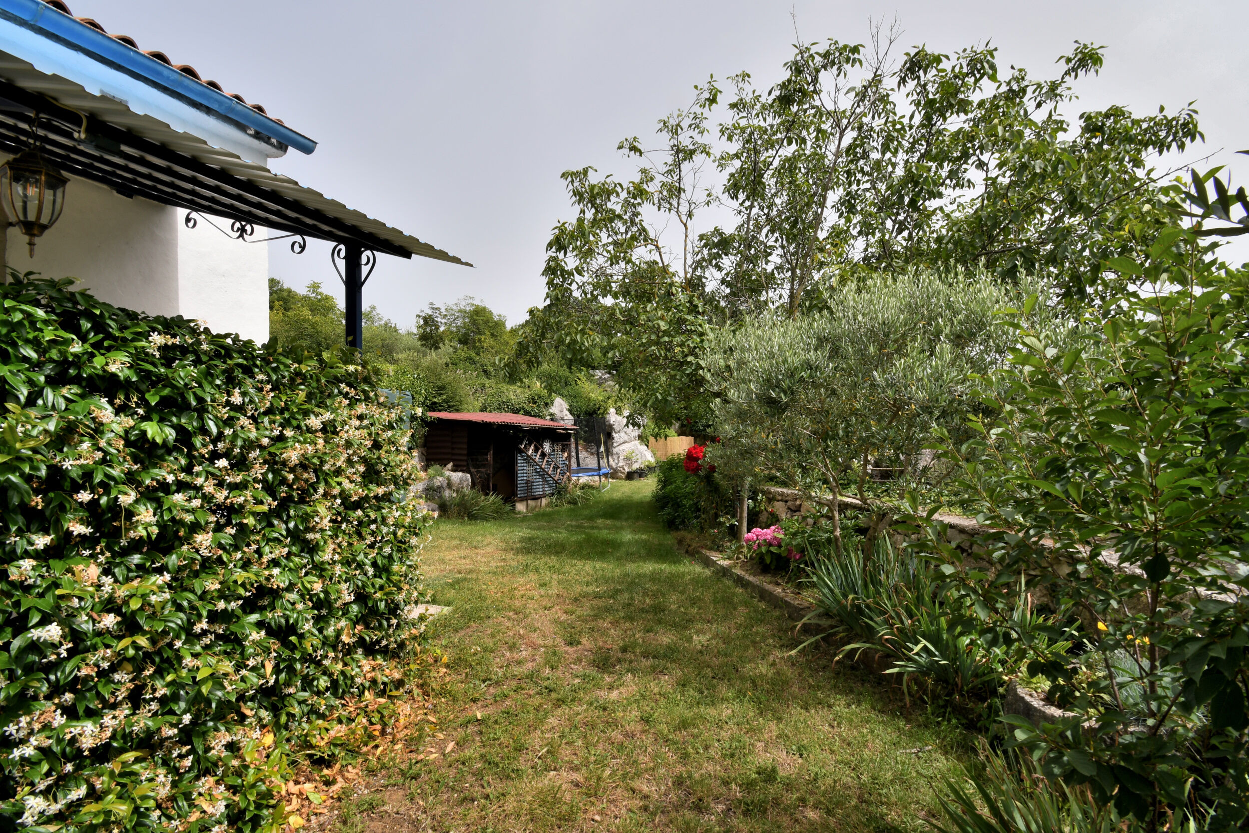 House Gioia Cristina 99391-K1