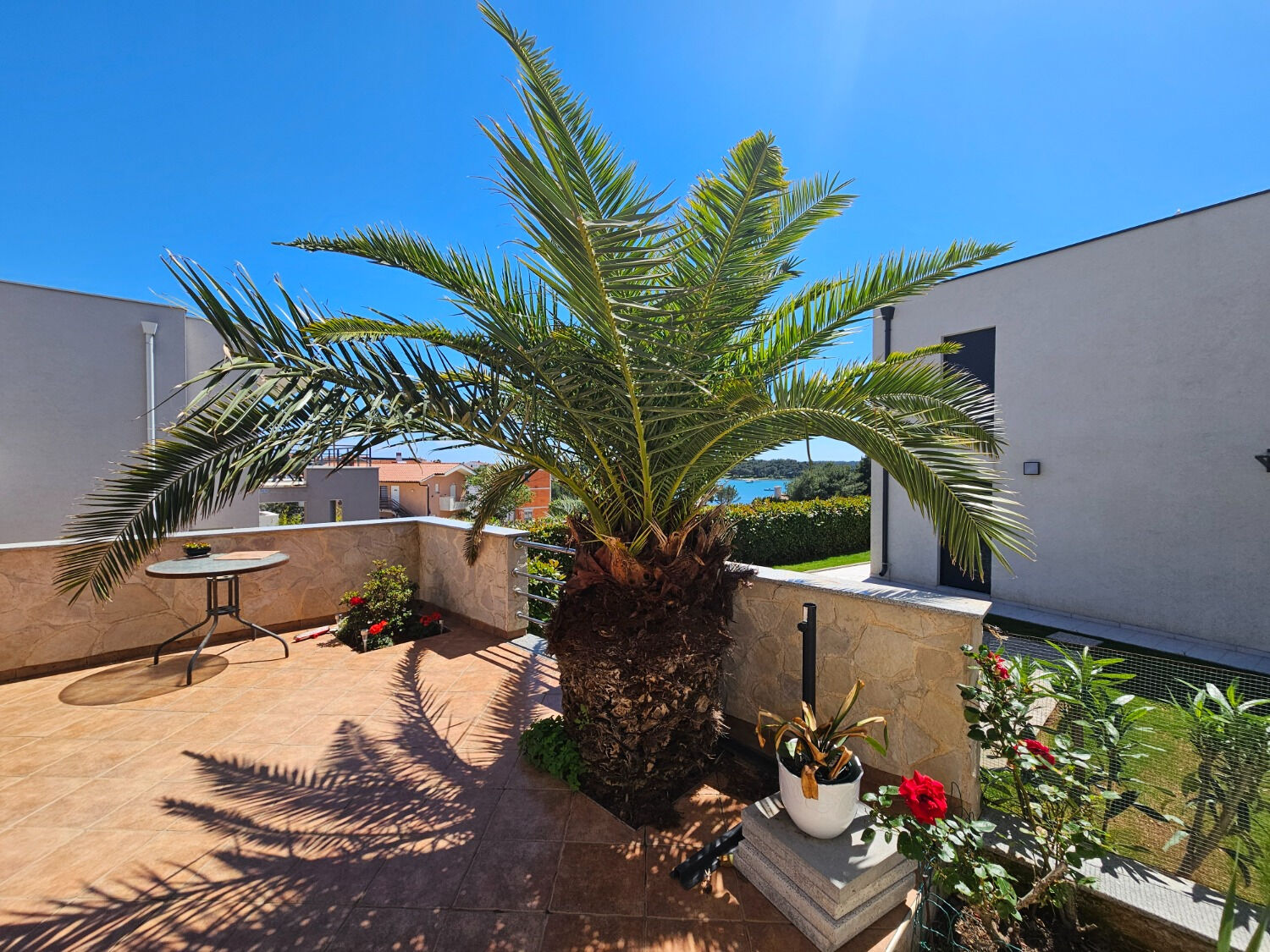 Photo of Apartment Želja