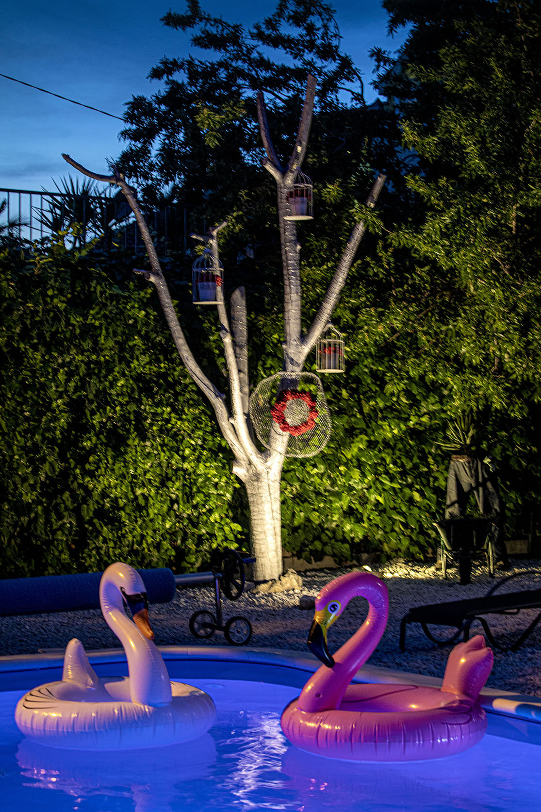 Apartments Silver Tree 113961-A2