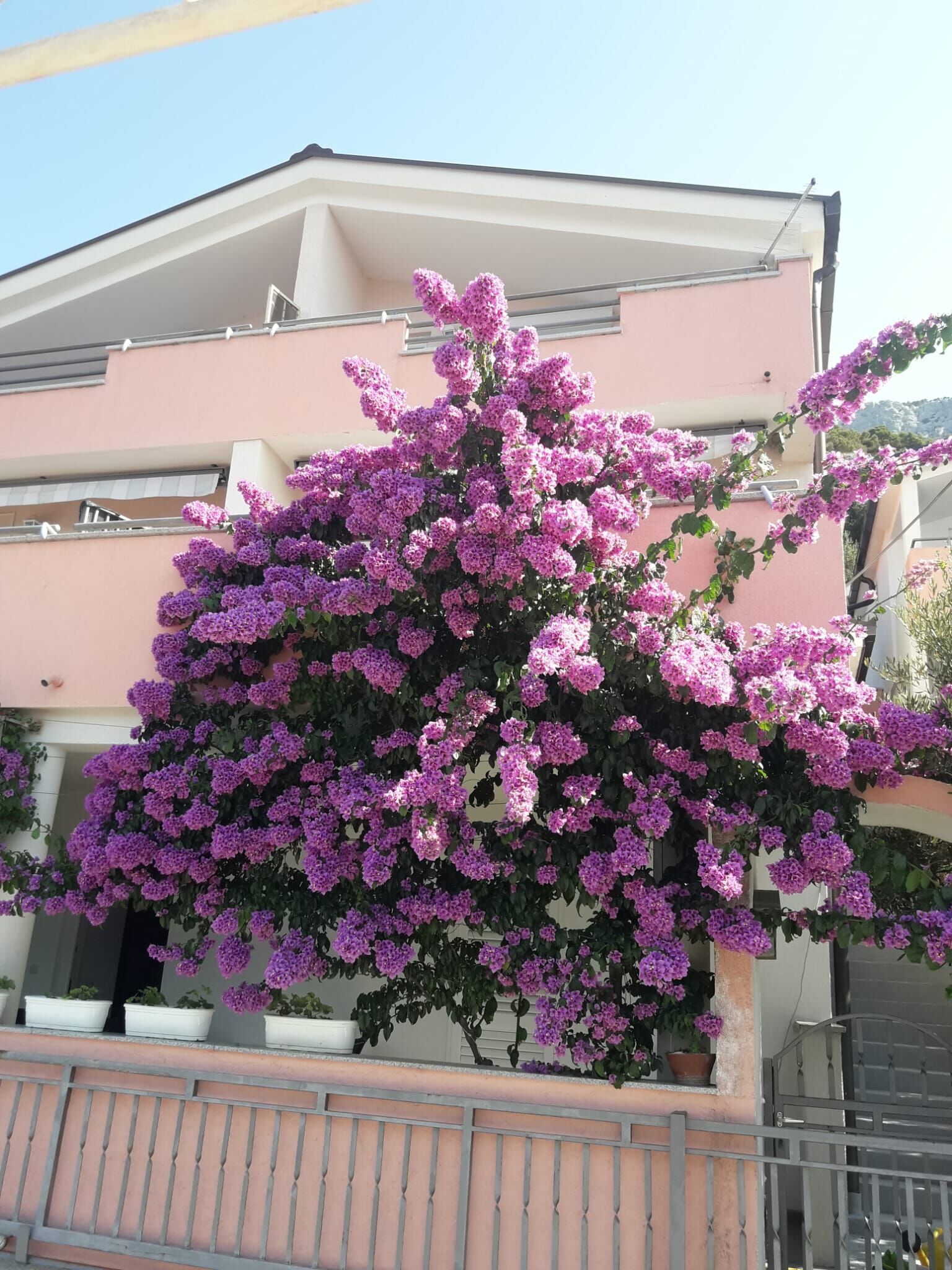 Apartments Galic 30441-A4