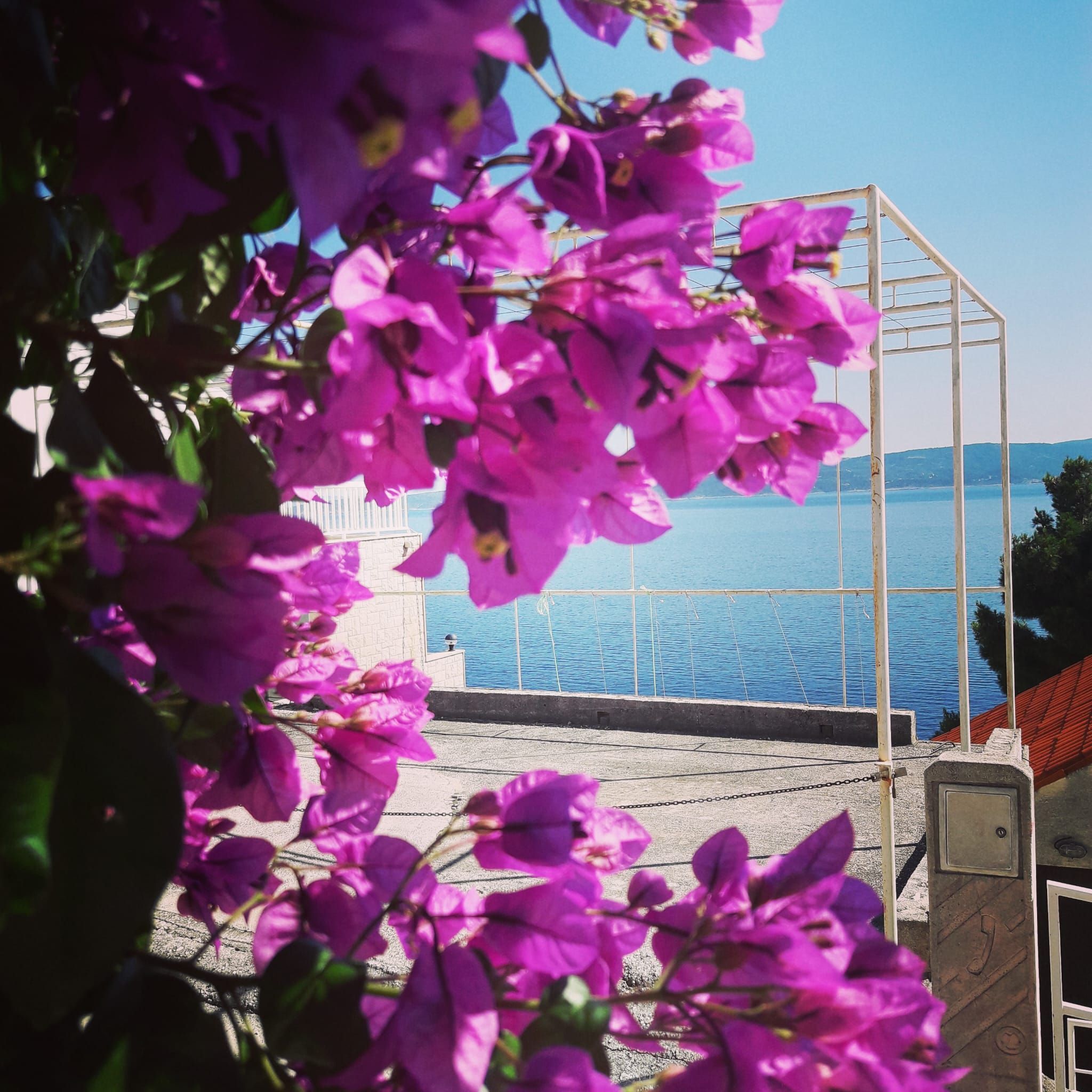 Apartments Galic 30441-A4