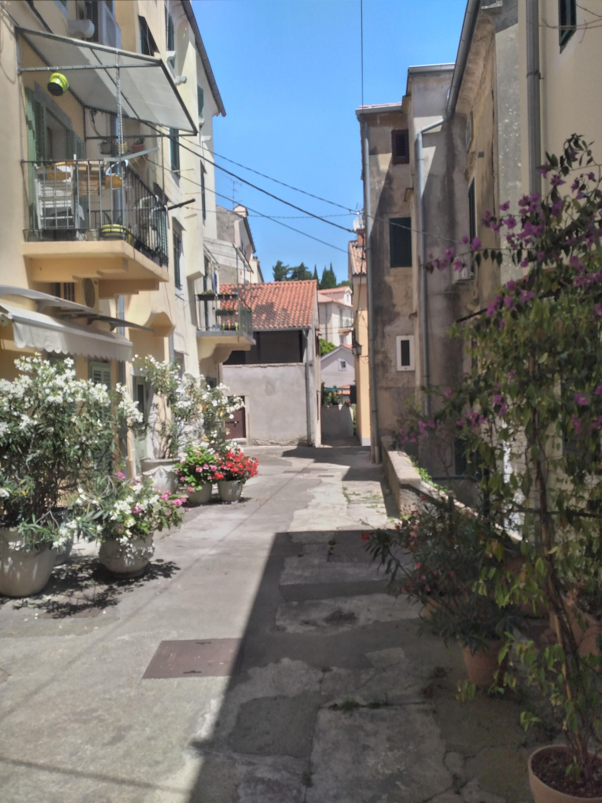 Photo of Apartments Near the sea