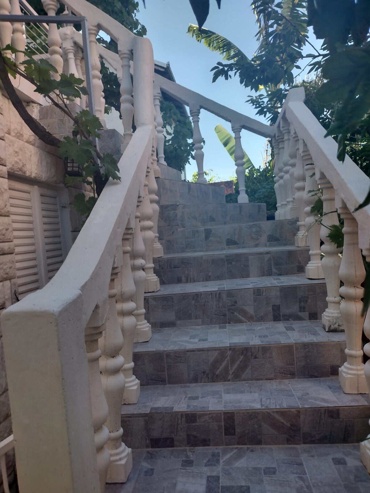 Apartment Franjo 114051-A1