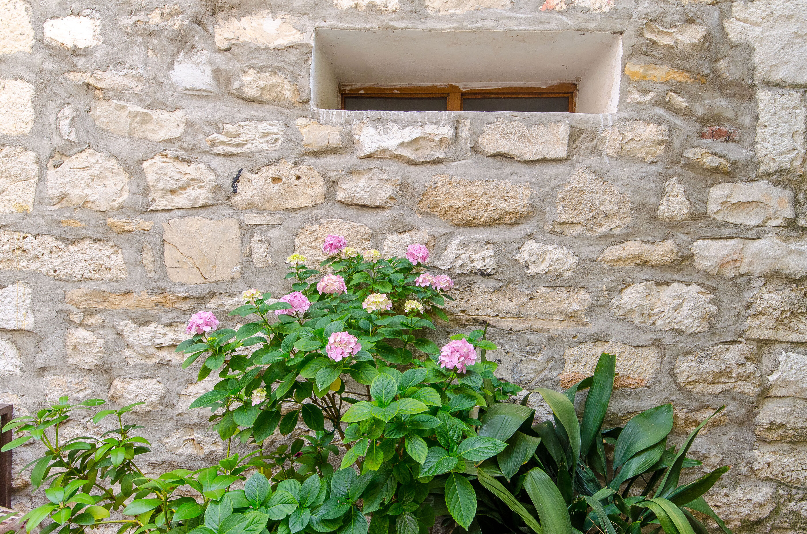 Photo of Apartment Taida