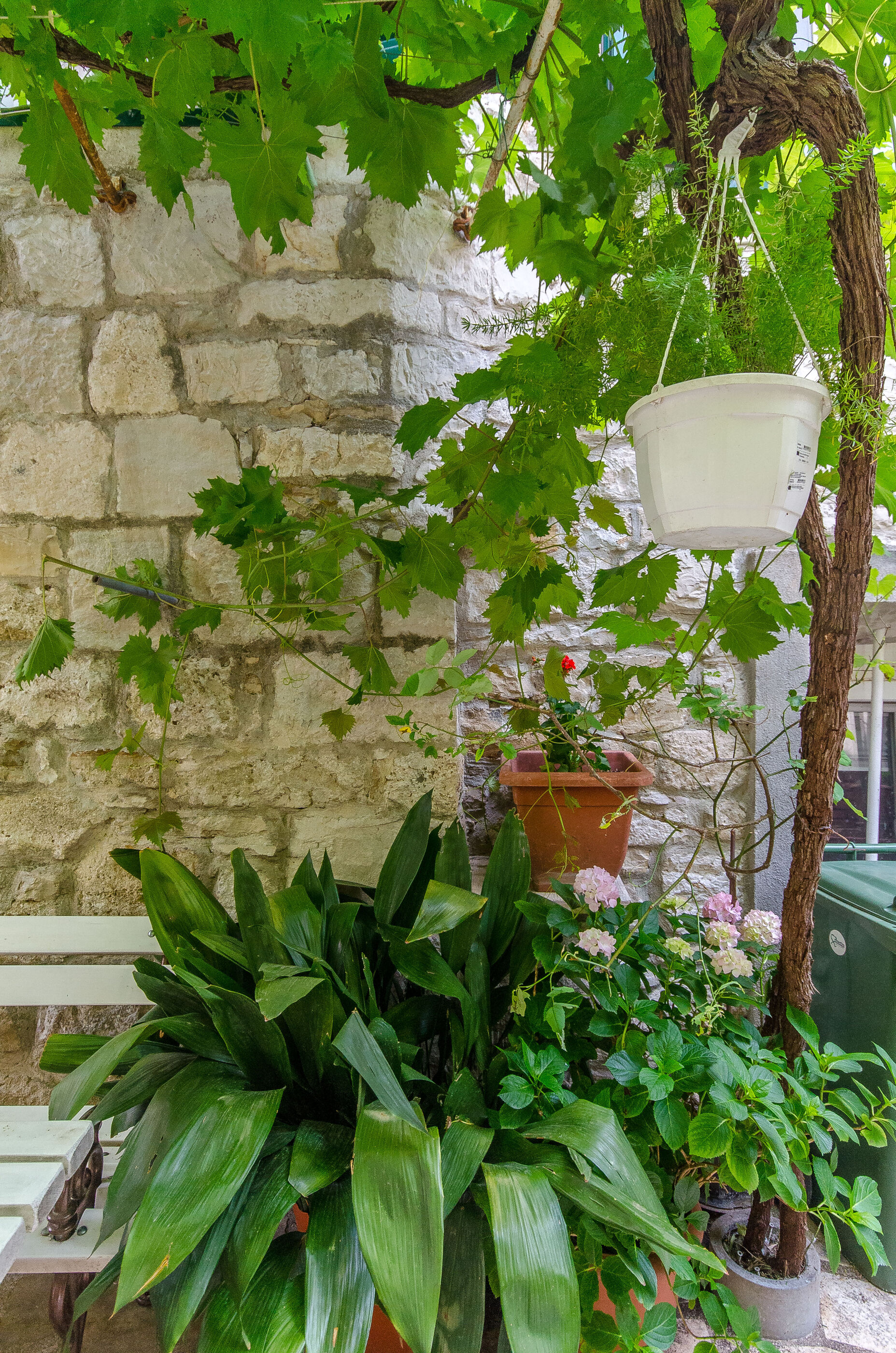 Photo of Apartment Taida