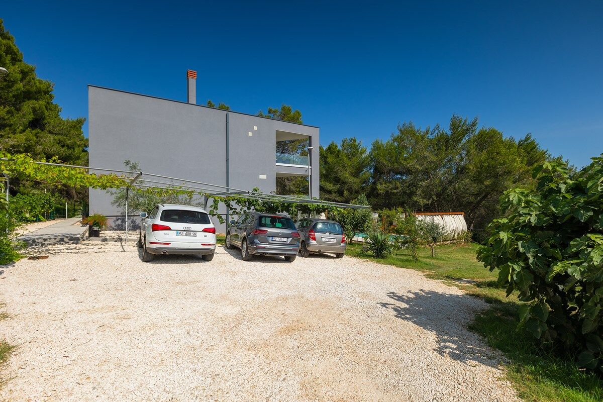 Villa Black and White 74317-K1