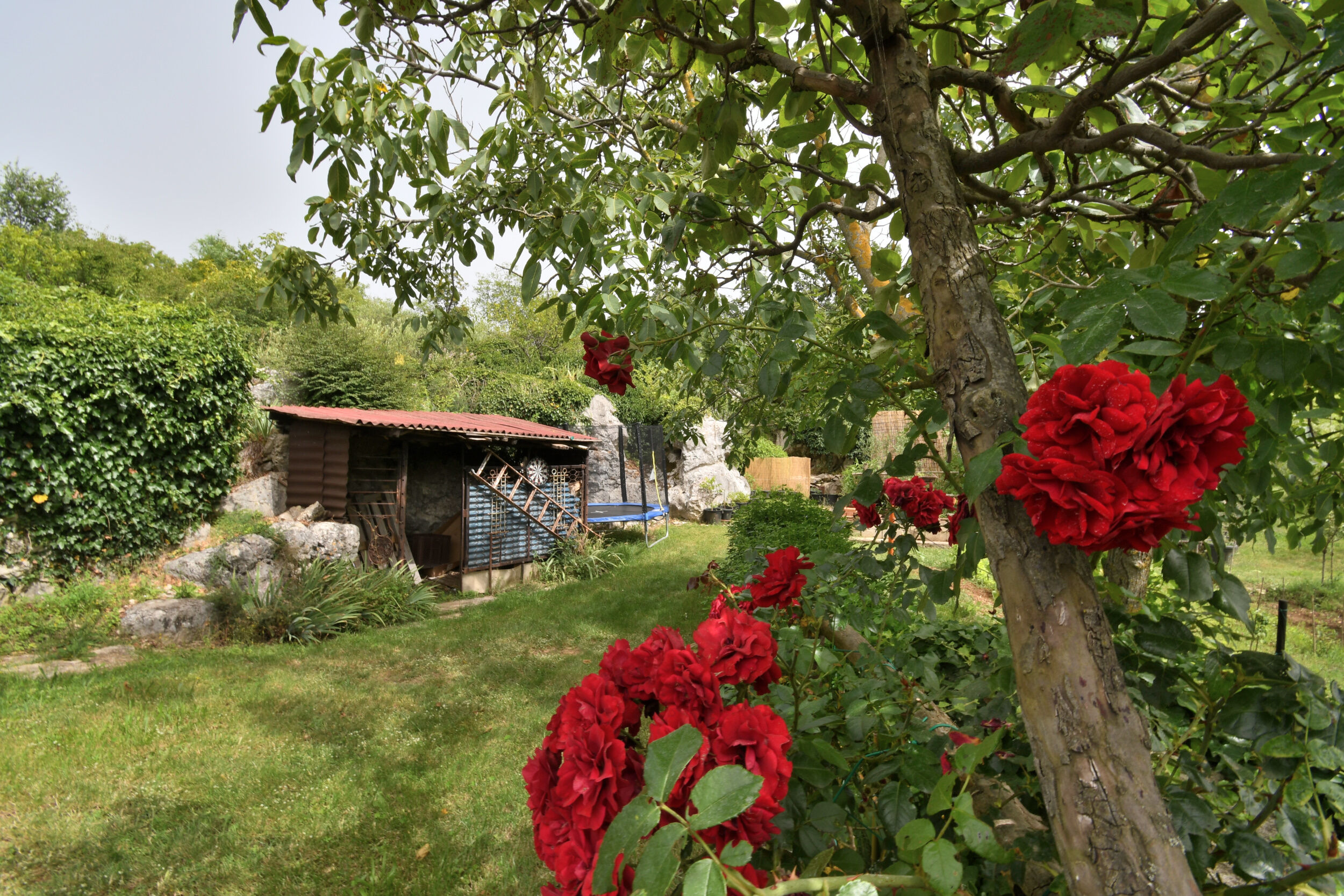 House Gioia Cristina 99391-K1