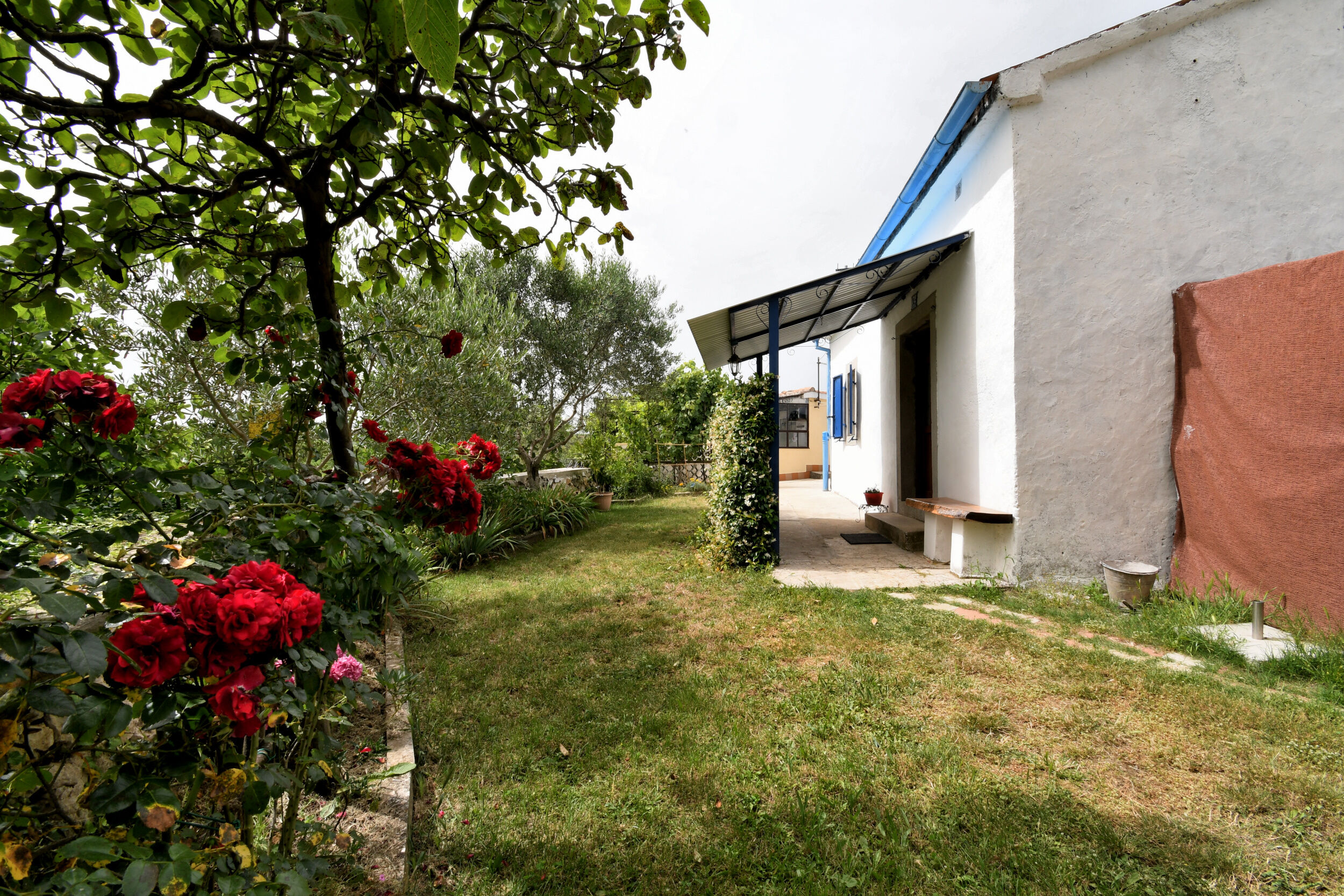House Gioia Cristina 99391-K1