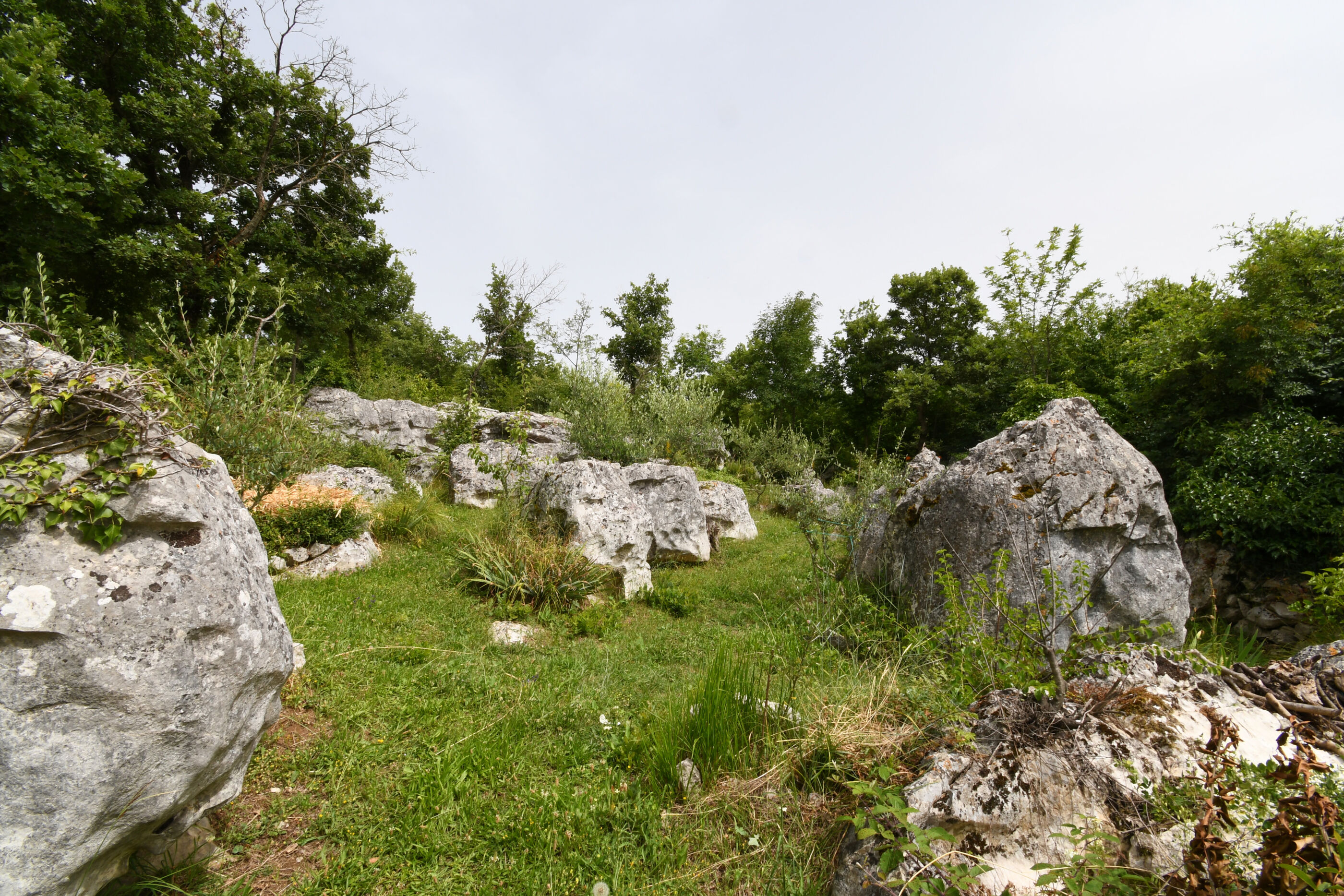 Photo of House Gioia Cristina