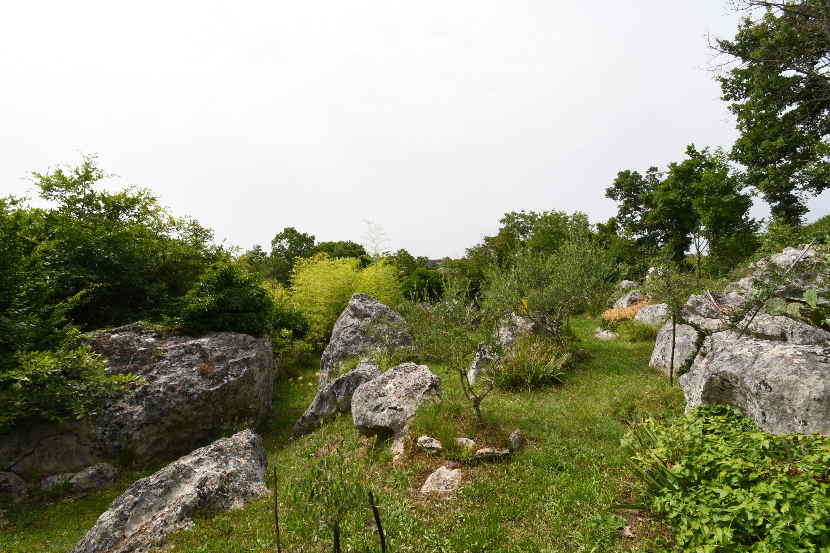 Photo of House Gioia Cristina