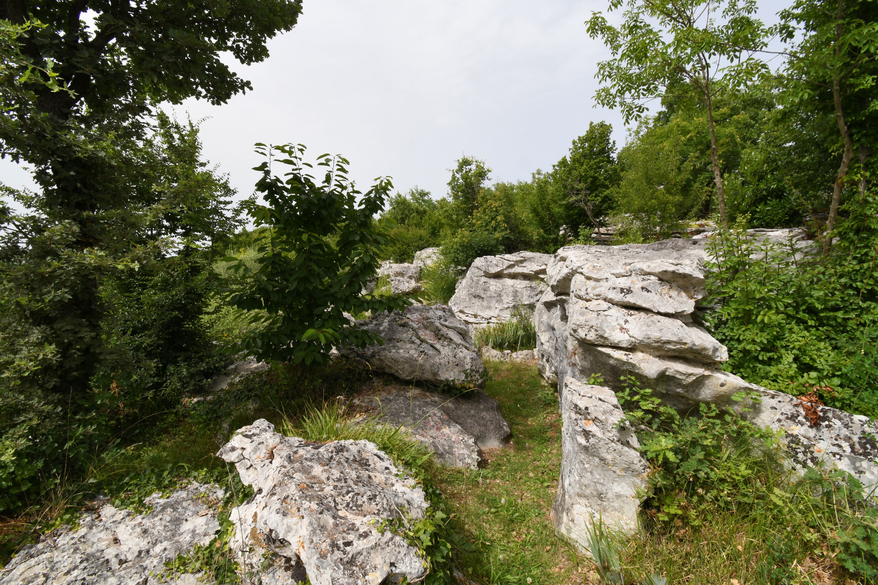 Photo of House Gioia Cristina