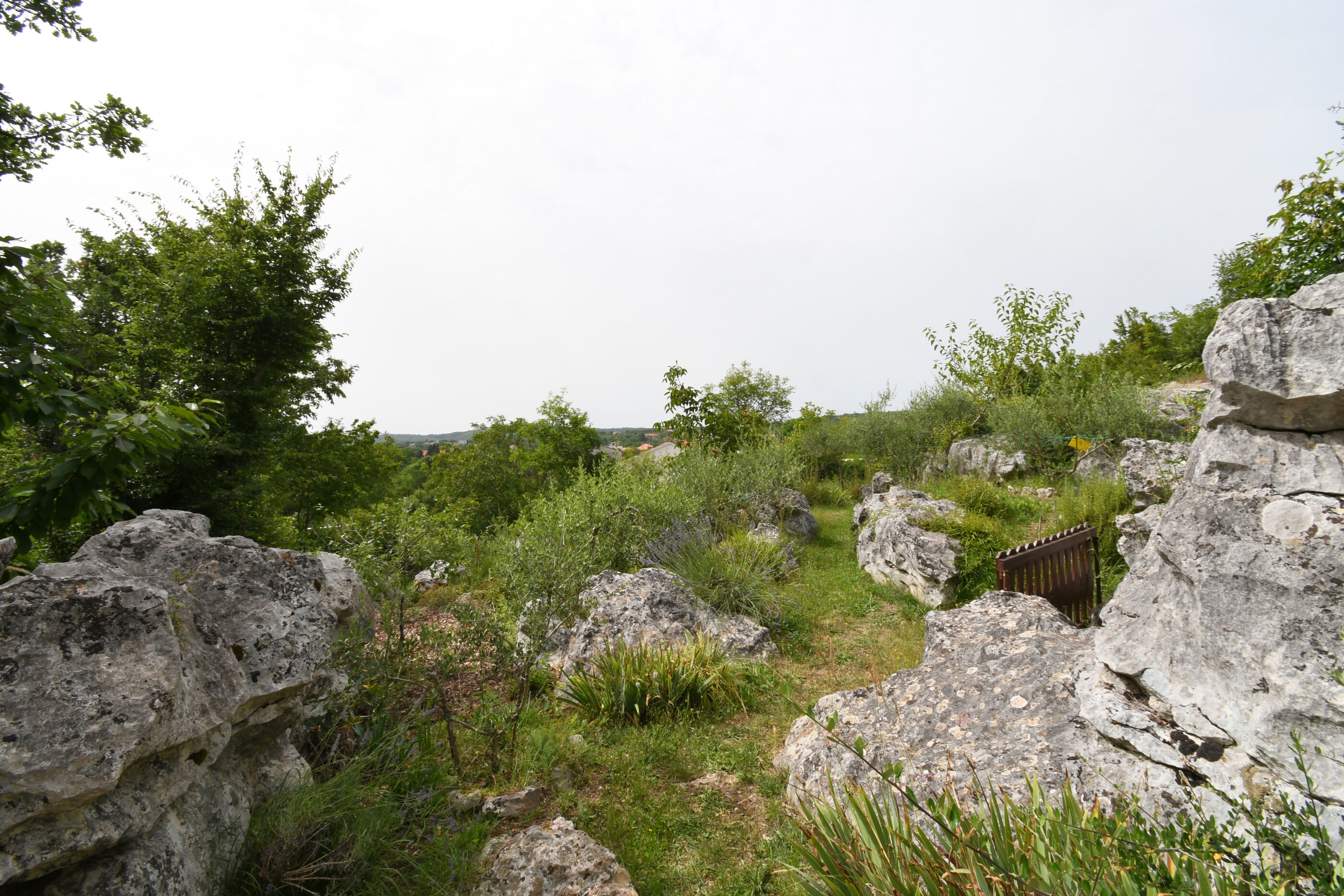 Photo of House Gioia Cristina