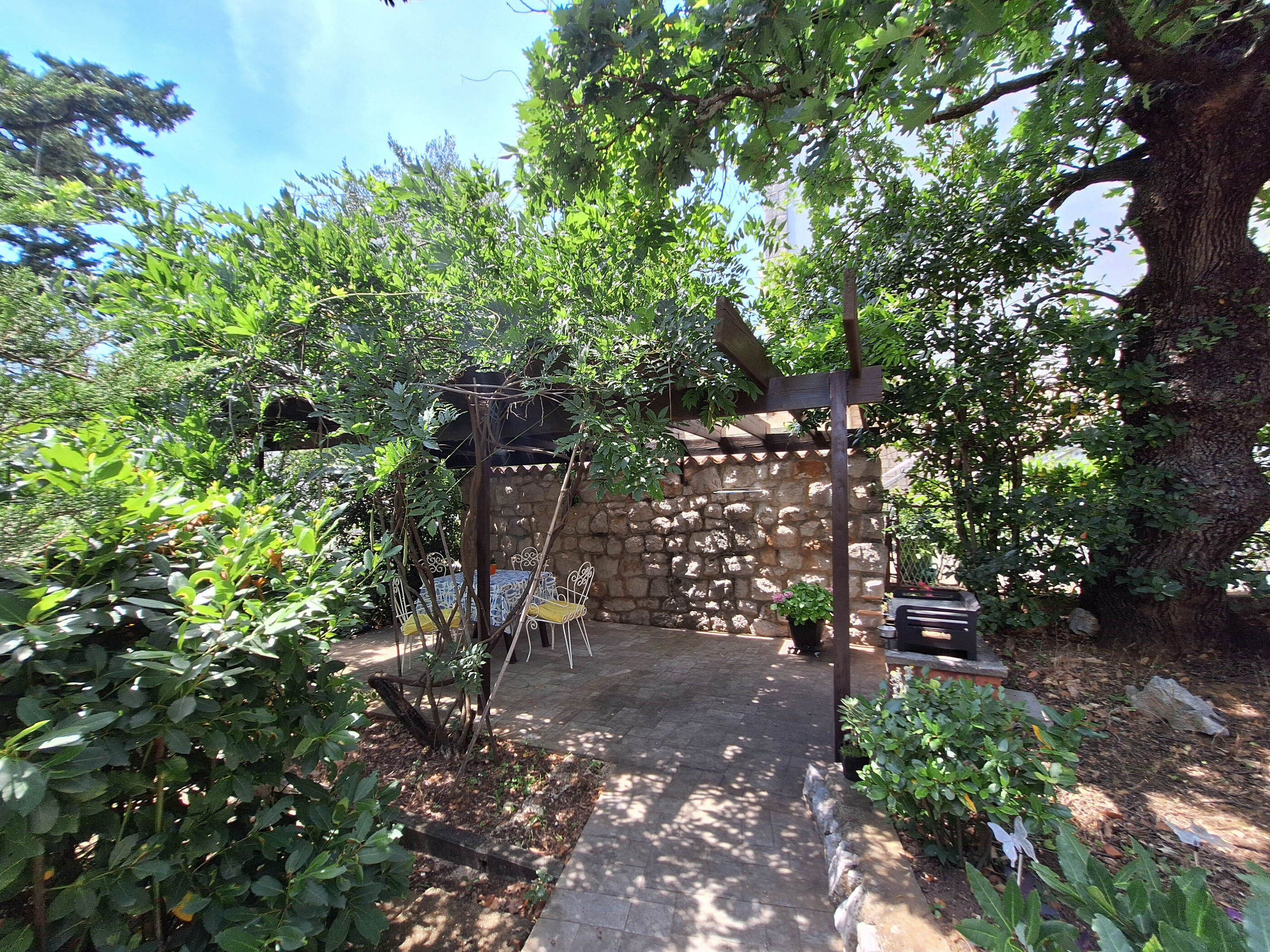 Apartment VERA 114141-A1