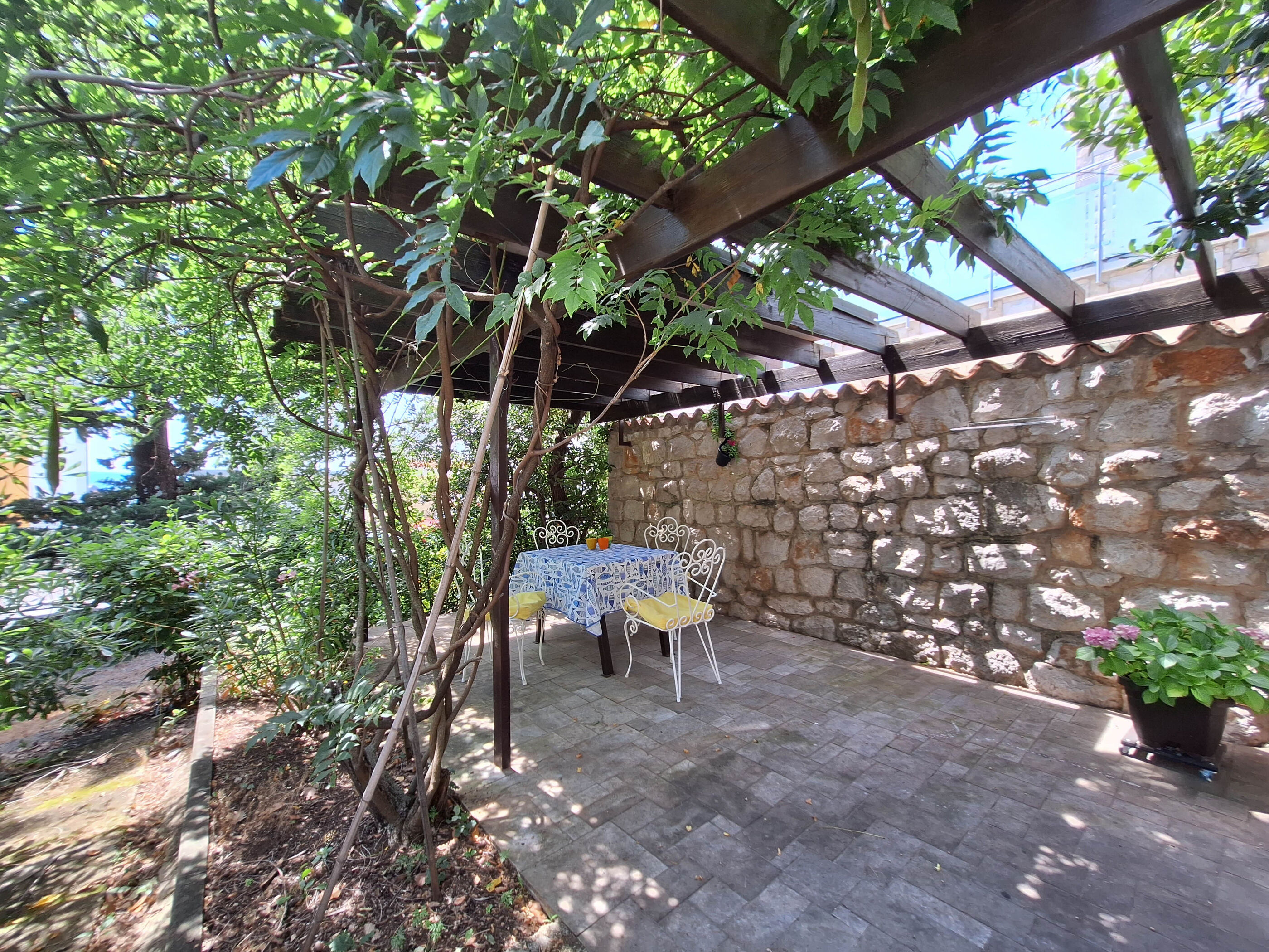 Apartment VERA 114141-A1