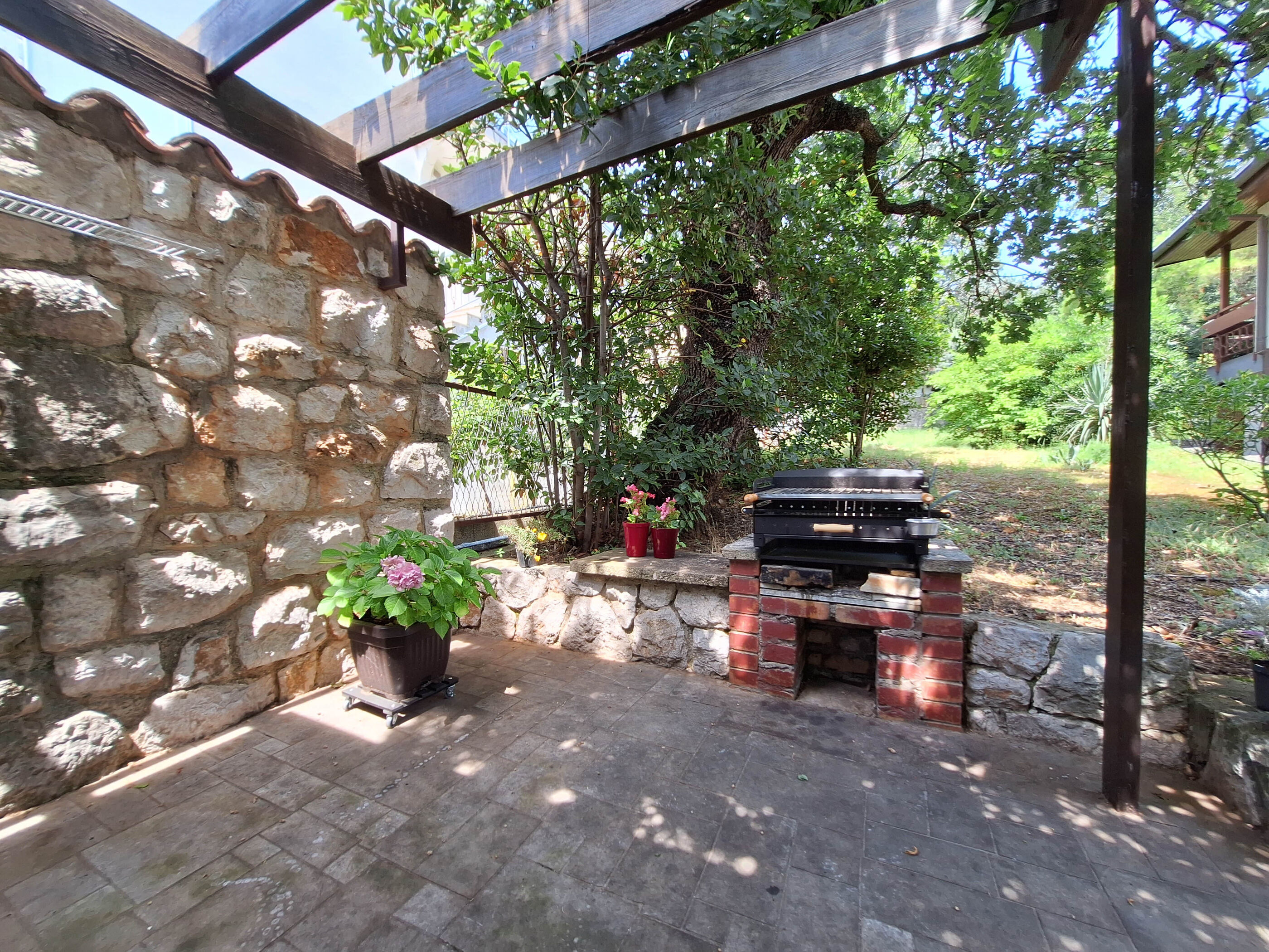 Apartment VERA 114141-A1