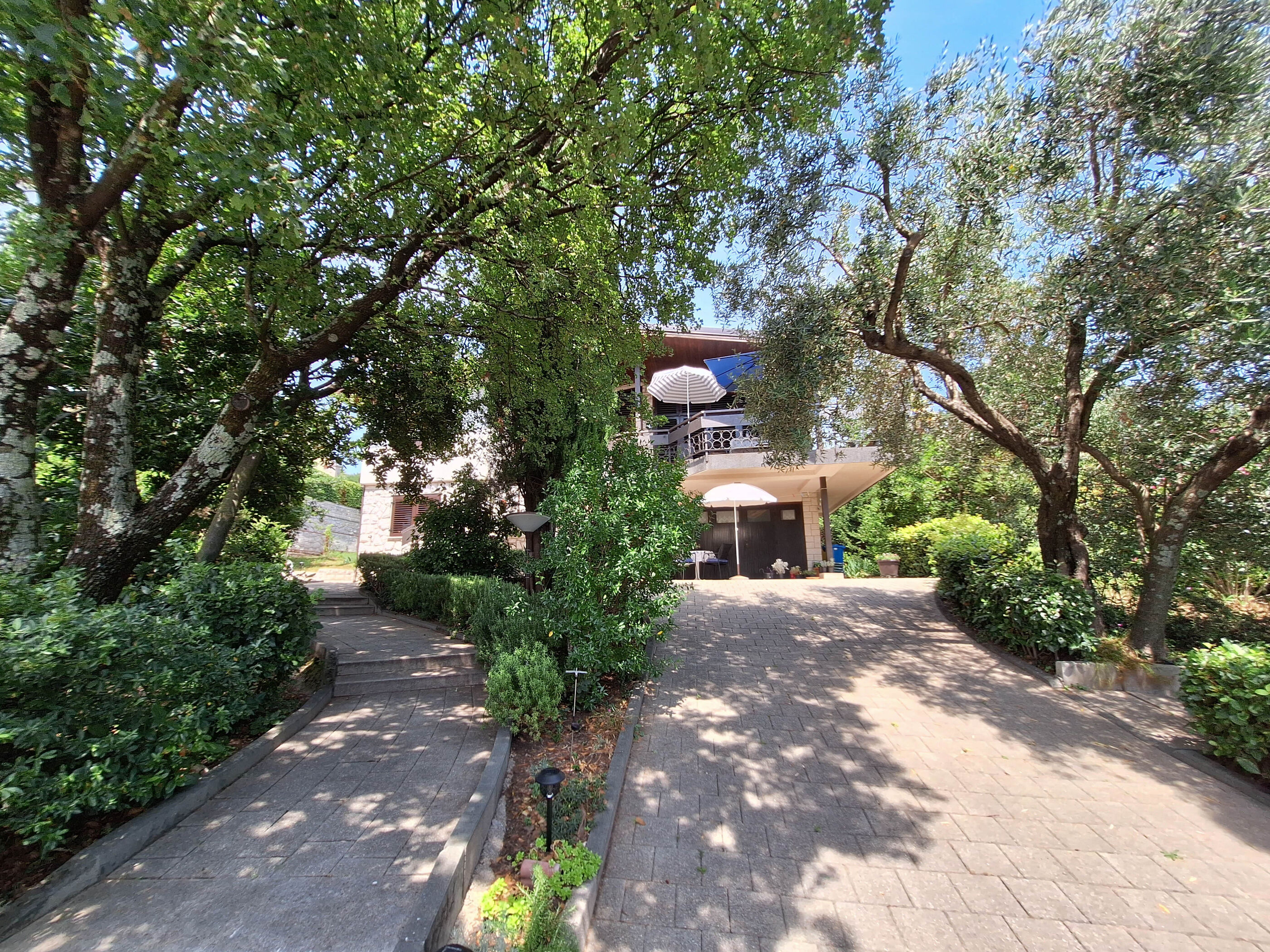 Apartment VERA 114141-A1