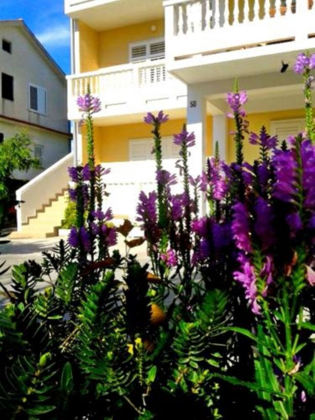 Apartments Franciska & Tihomir: 107451-A2
