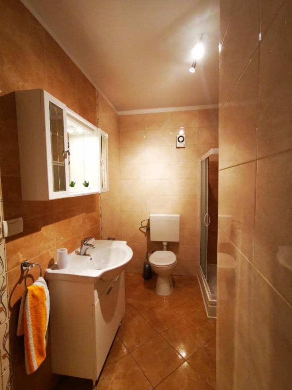 Apartments Franciska & Tihomir: 107451-A2
