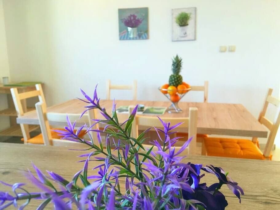 Apartments Dragana 15411-A3