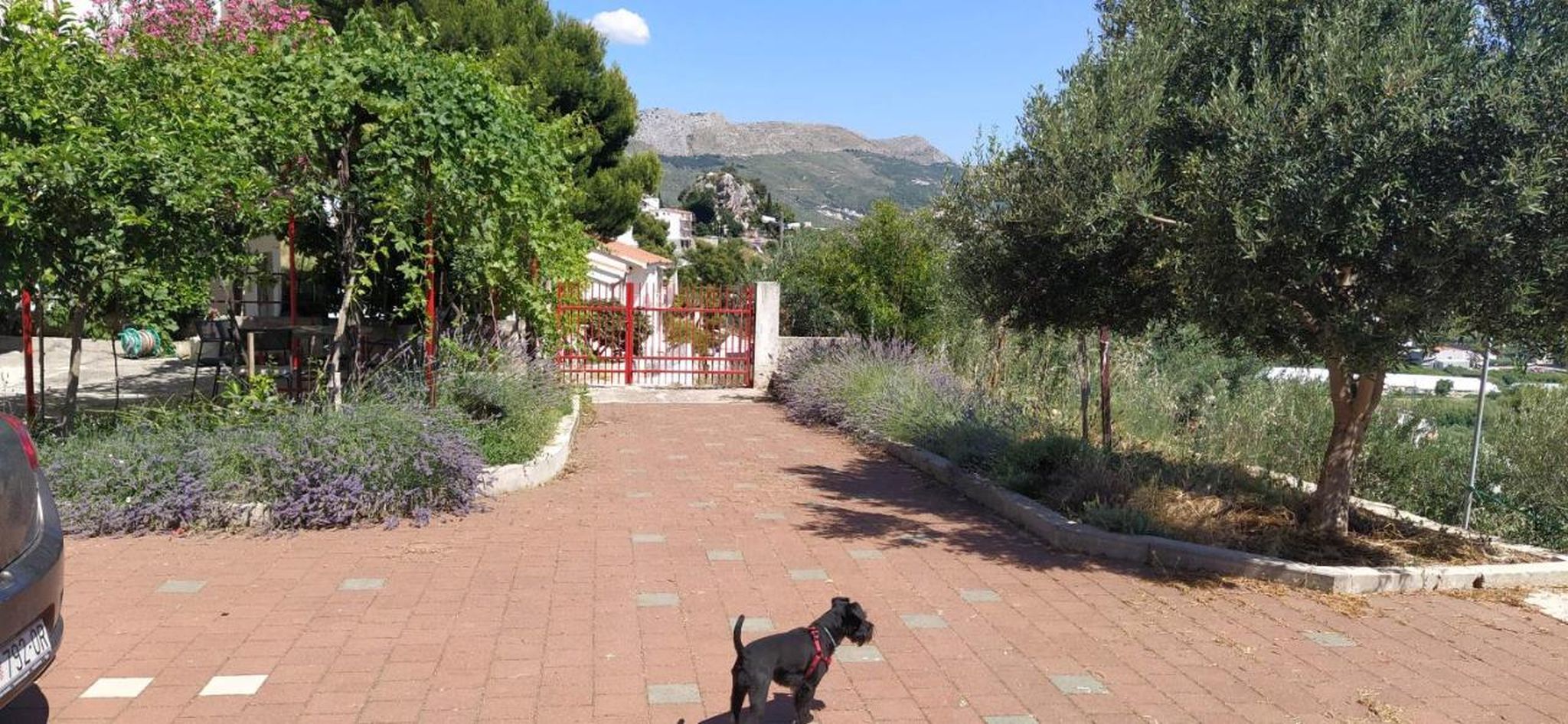 Photo of Apartment Kamen