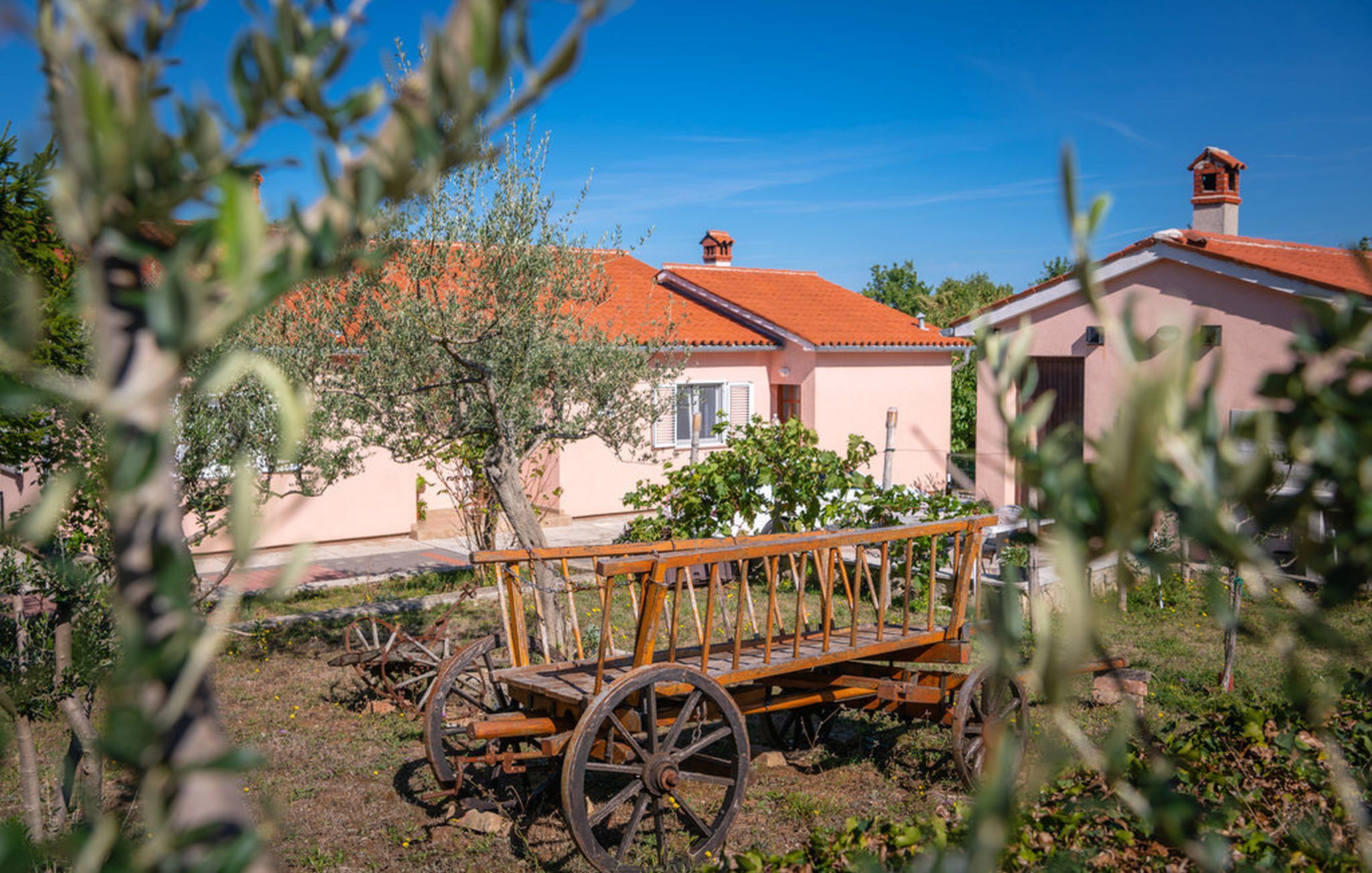 Photo of Villa Zelena Oaza