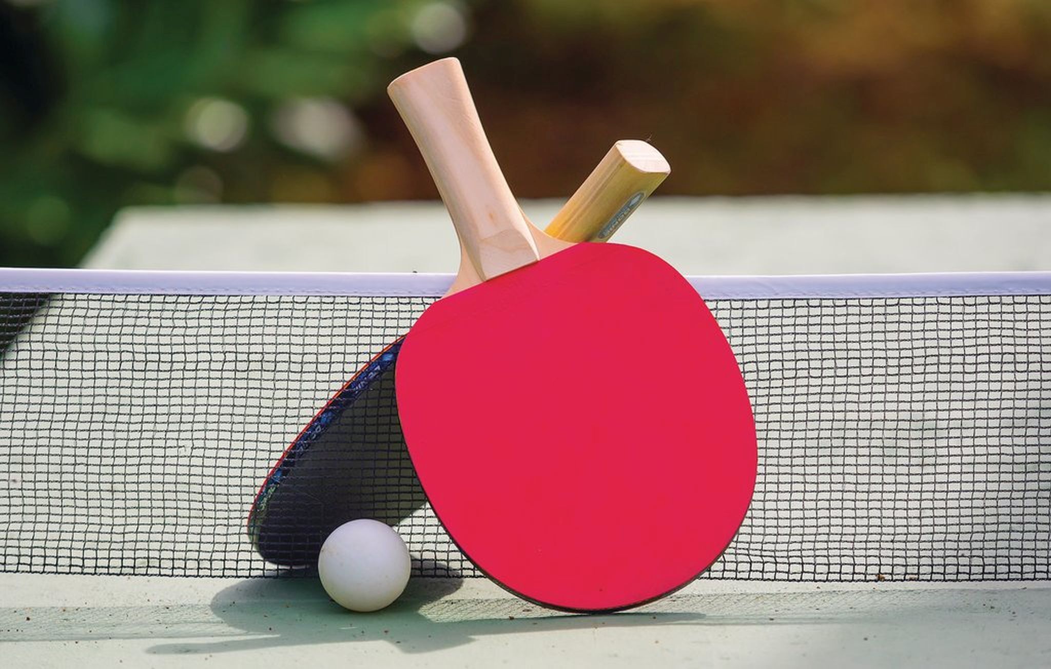 Photo of Villa Zelena Oaza