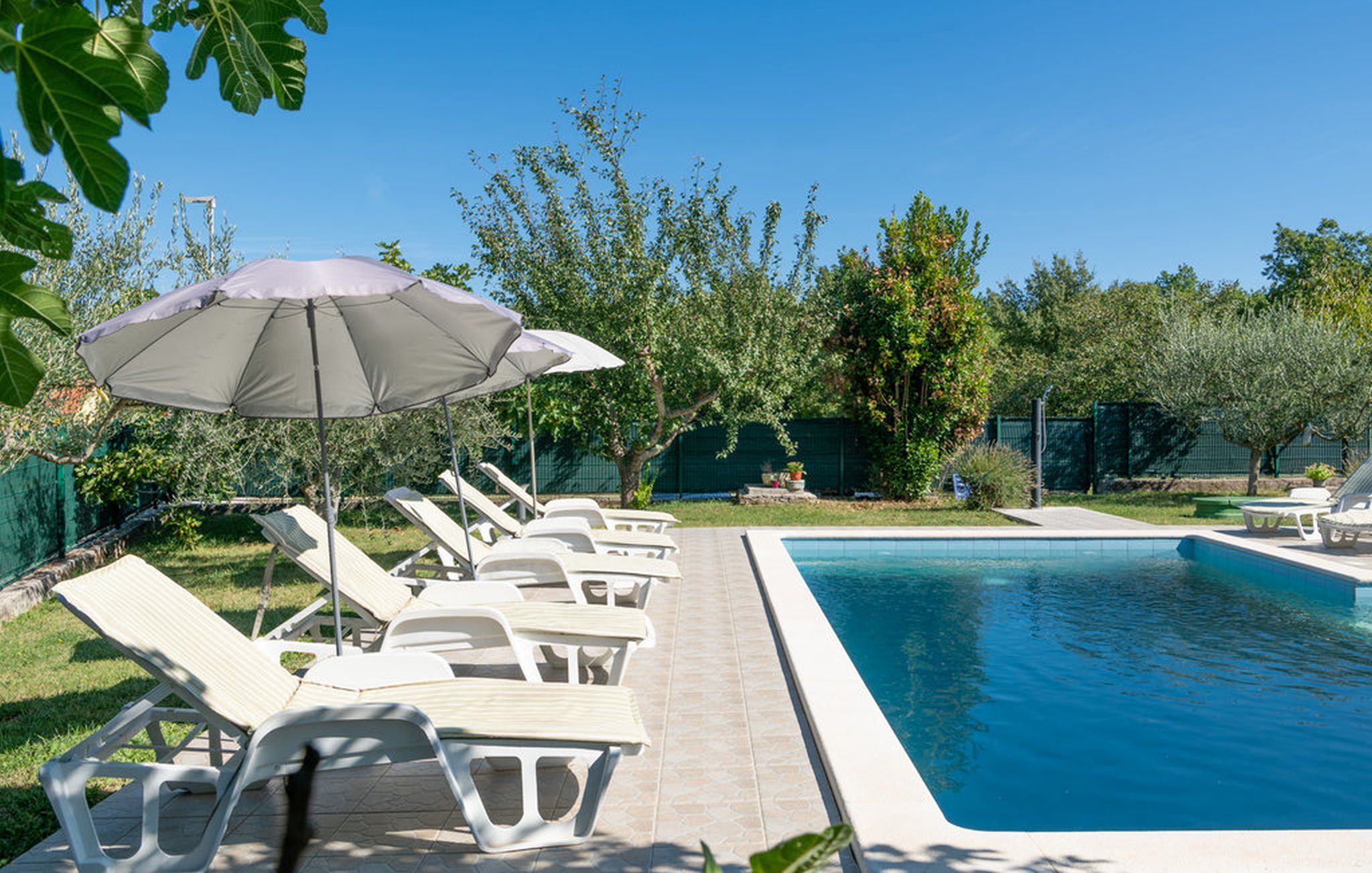 Villa Zelena Oaza V9071-K1