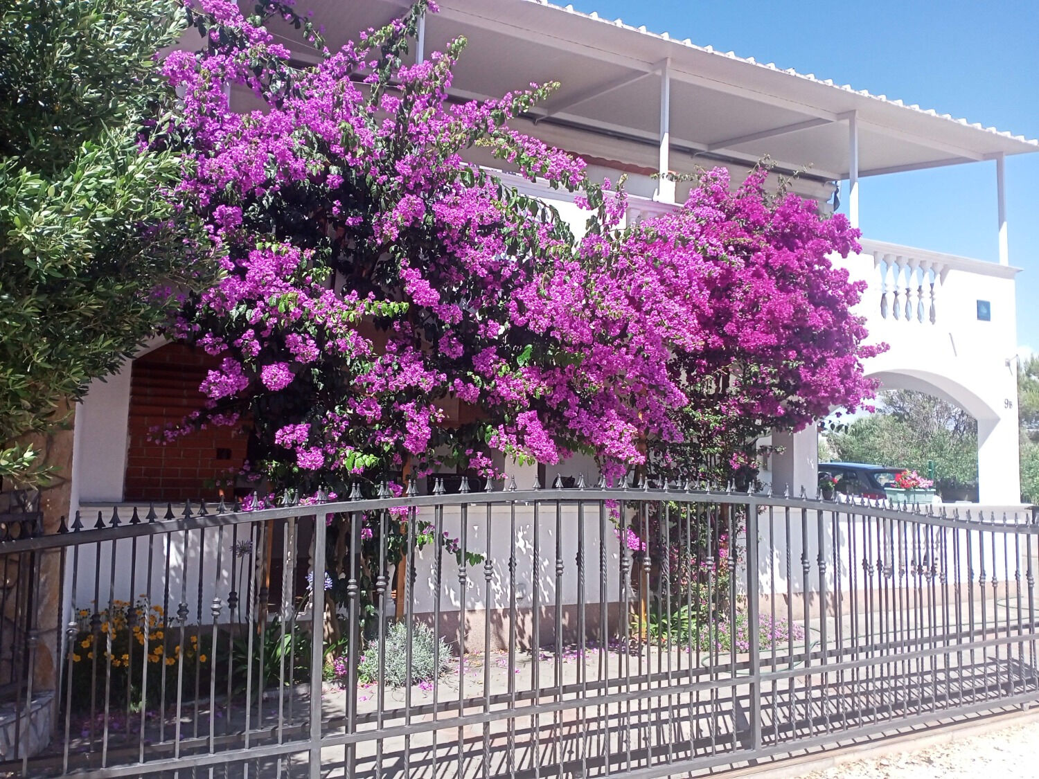 Apartments Marijan 11063-A1