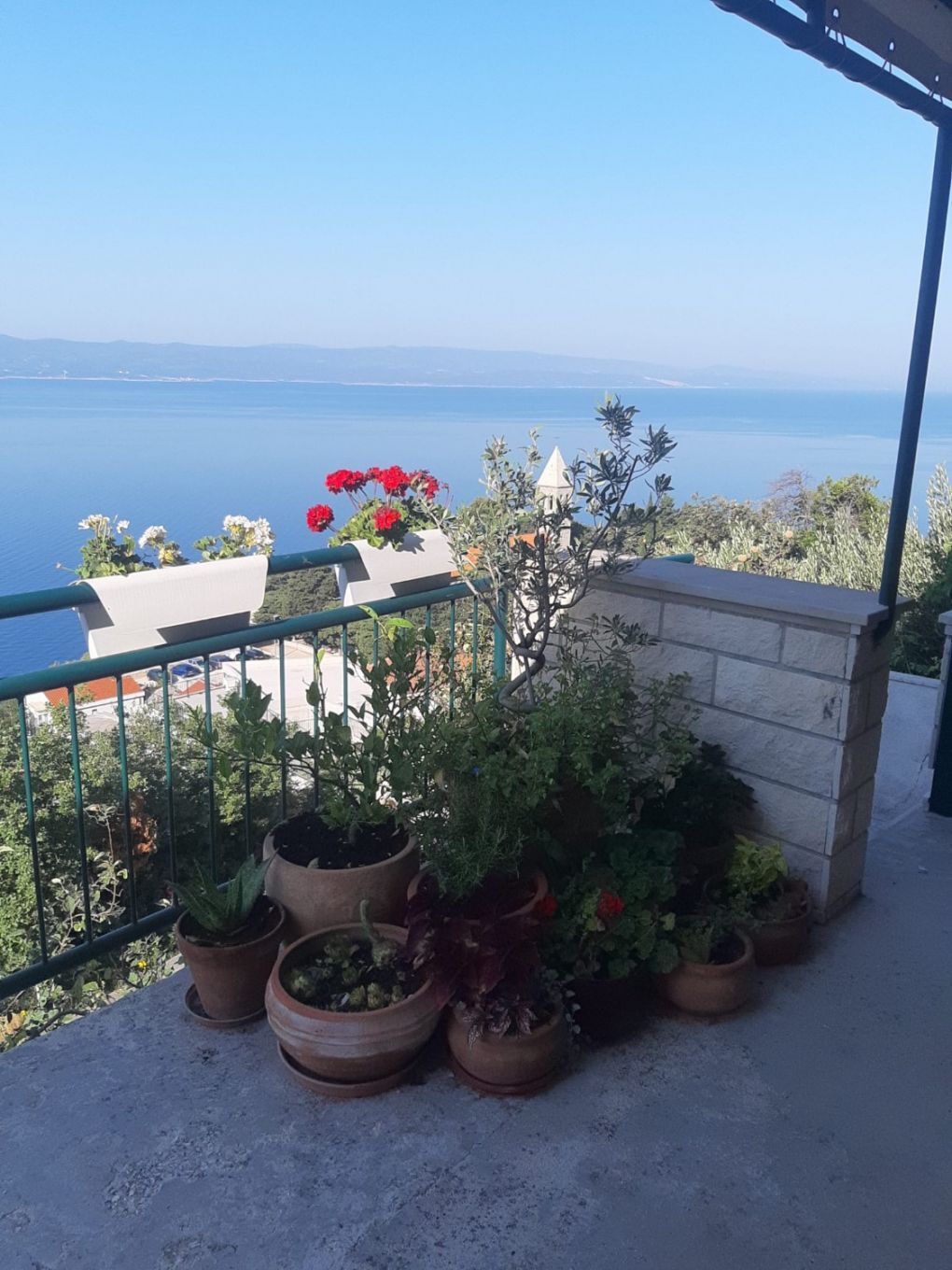 Apartment Ruzmarin 107321-A1