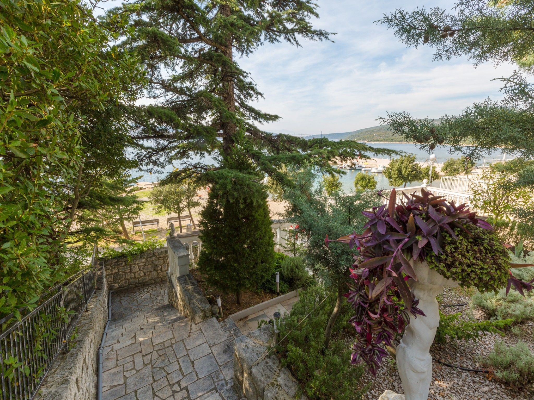 Photo of Apartment Sofi