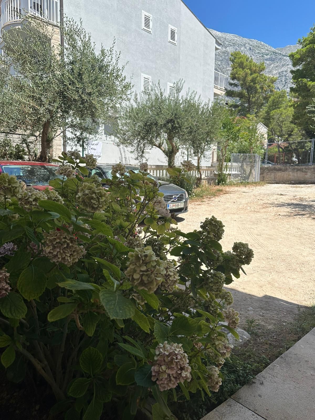Apartments Sandra 114461-A4