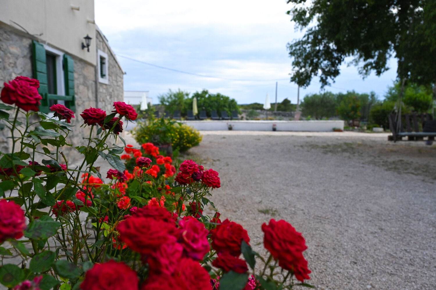 Rooms B&B Linda 11298-S2