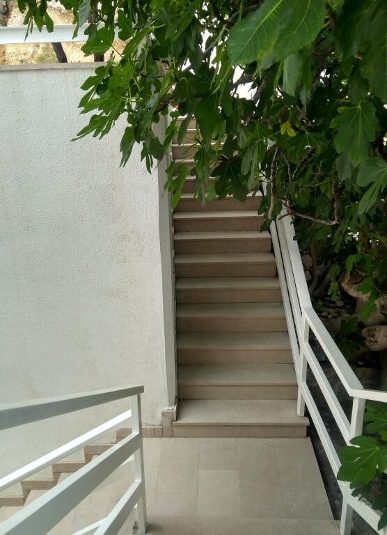 Apartments Hortenzia 114511-A1