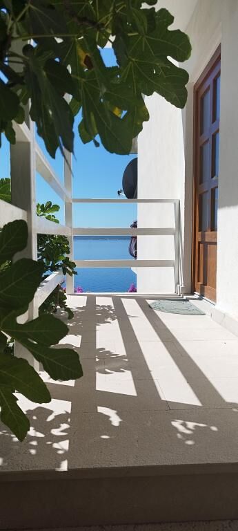Apartments Hortenzia 114511-A1