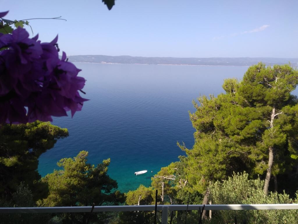 Apartments Hortenzia 114511-A1