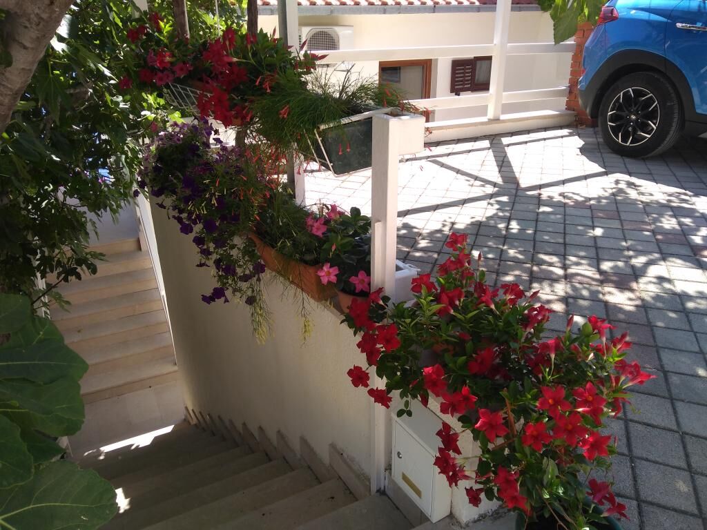 Apartments Hortenzia 114511-A1