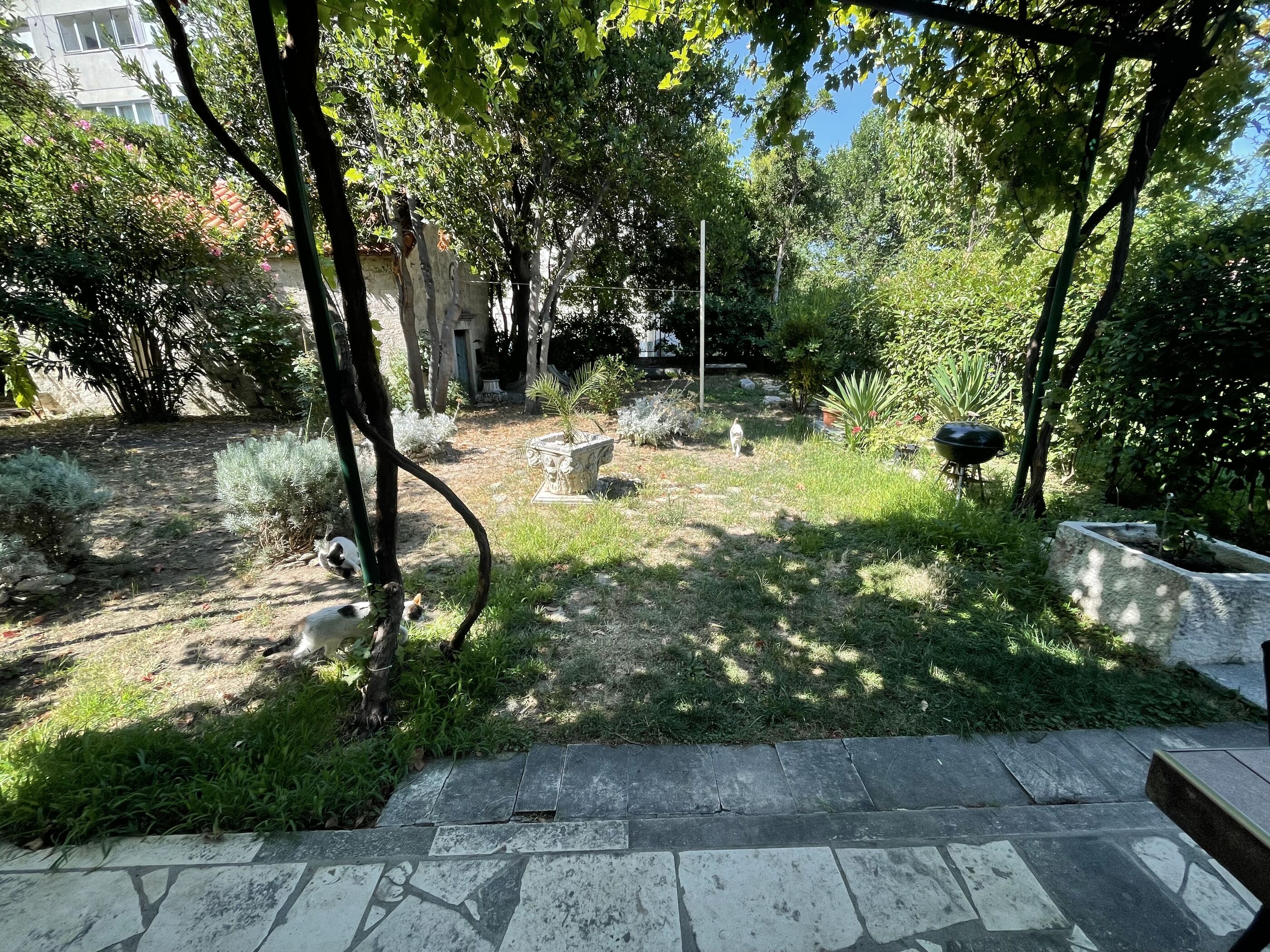 Apartments JUGO i BURA 63891-A2