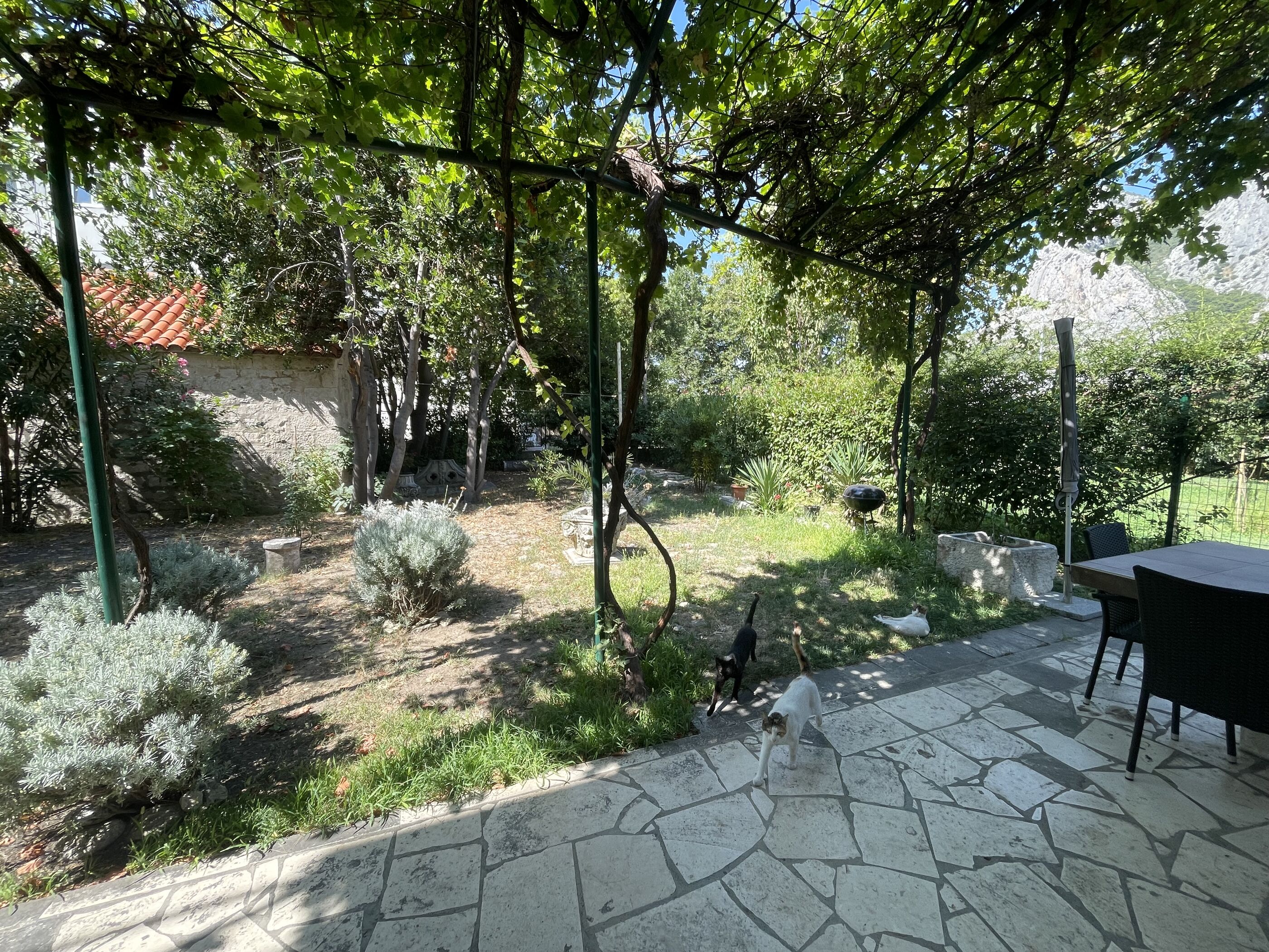 Apartments JUGO i BURA 63891-A2