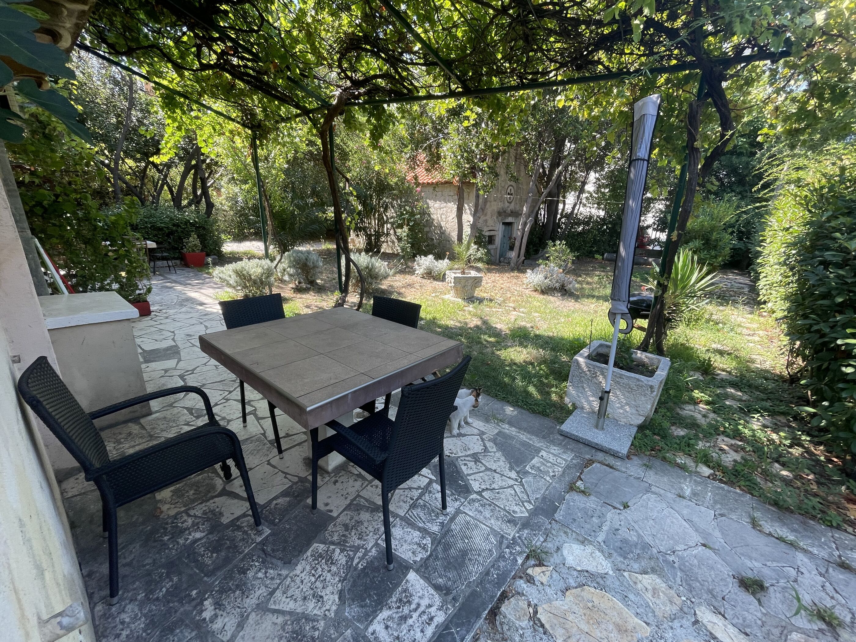 Apartments JUGO i BURA 63891-A2