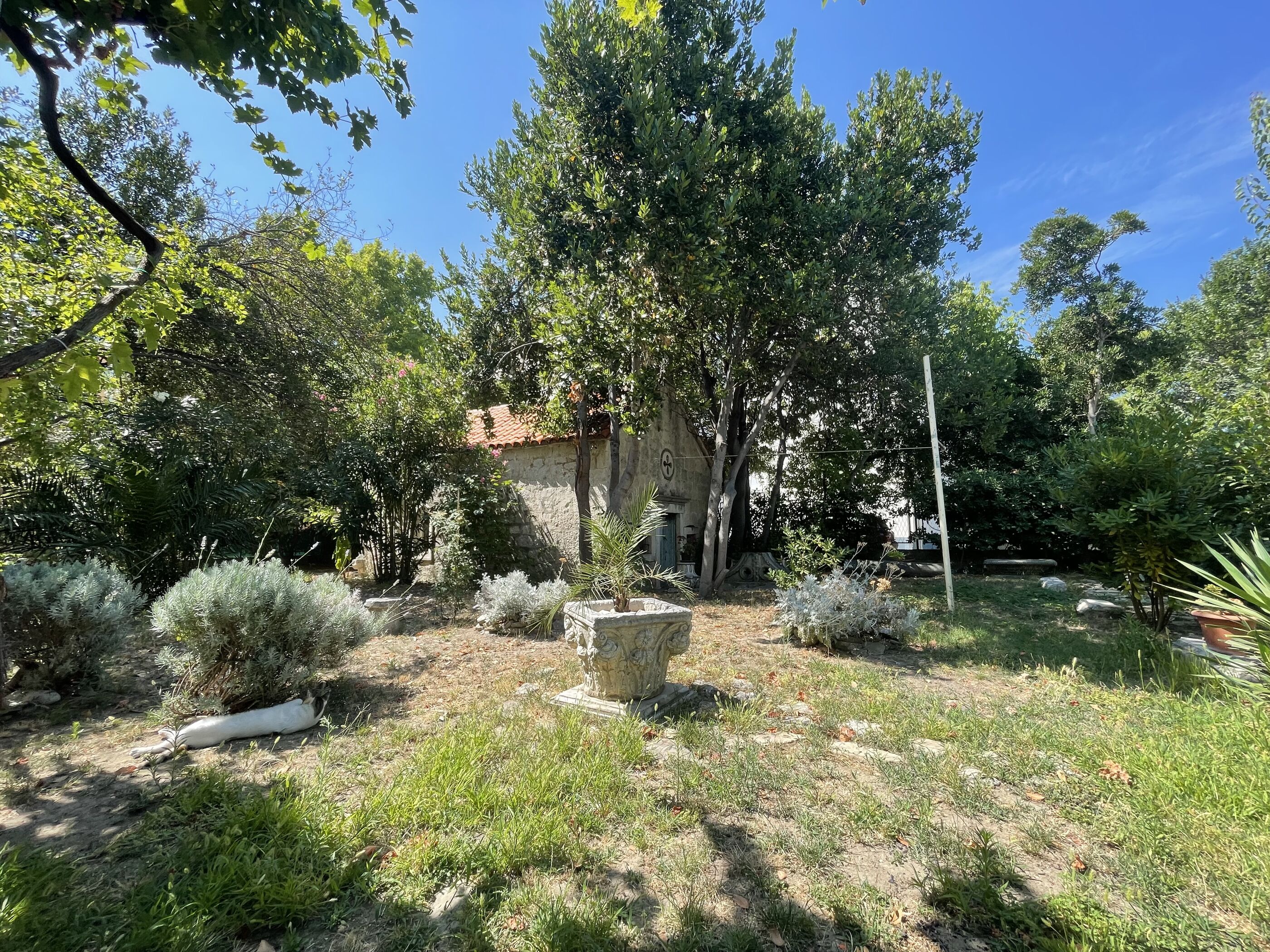 Apartments JUGO i BURA 63891-A2