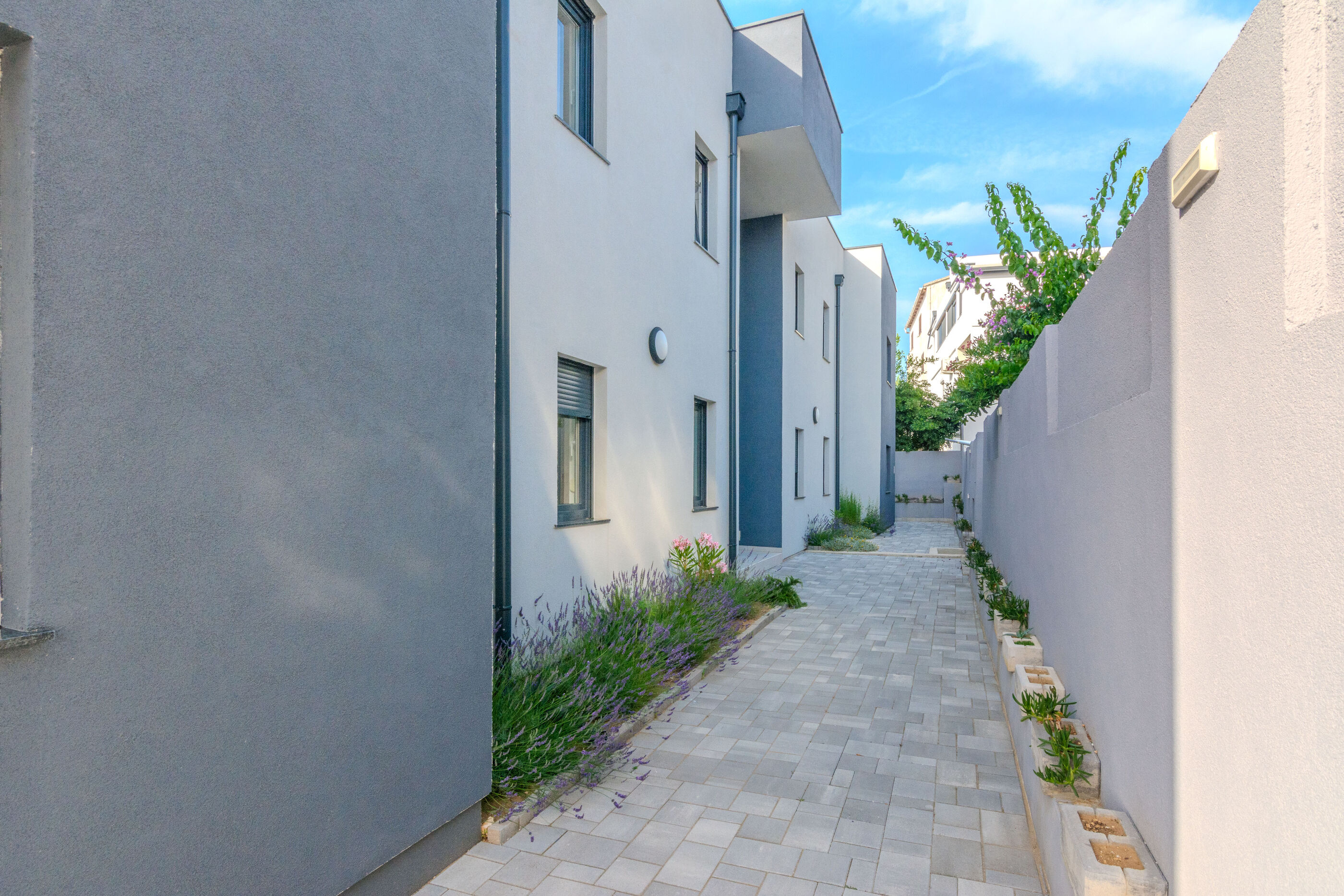 Apartments LAVANDA 72059-A1
