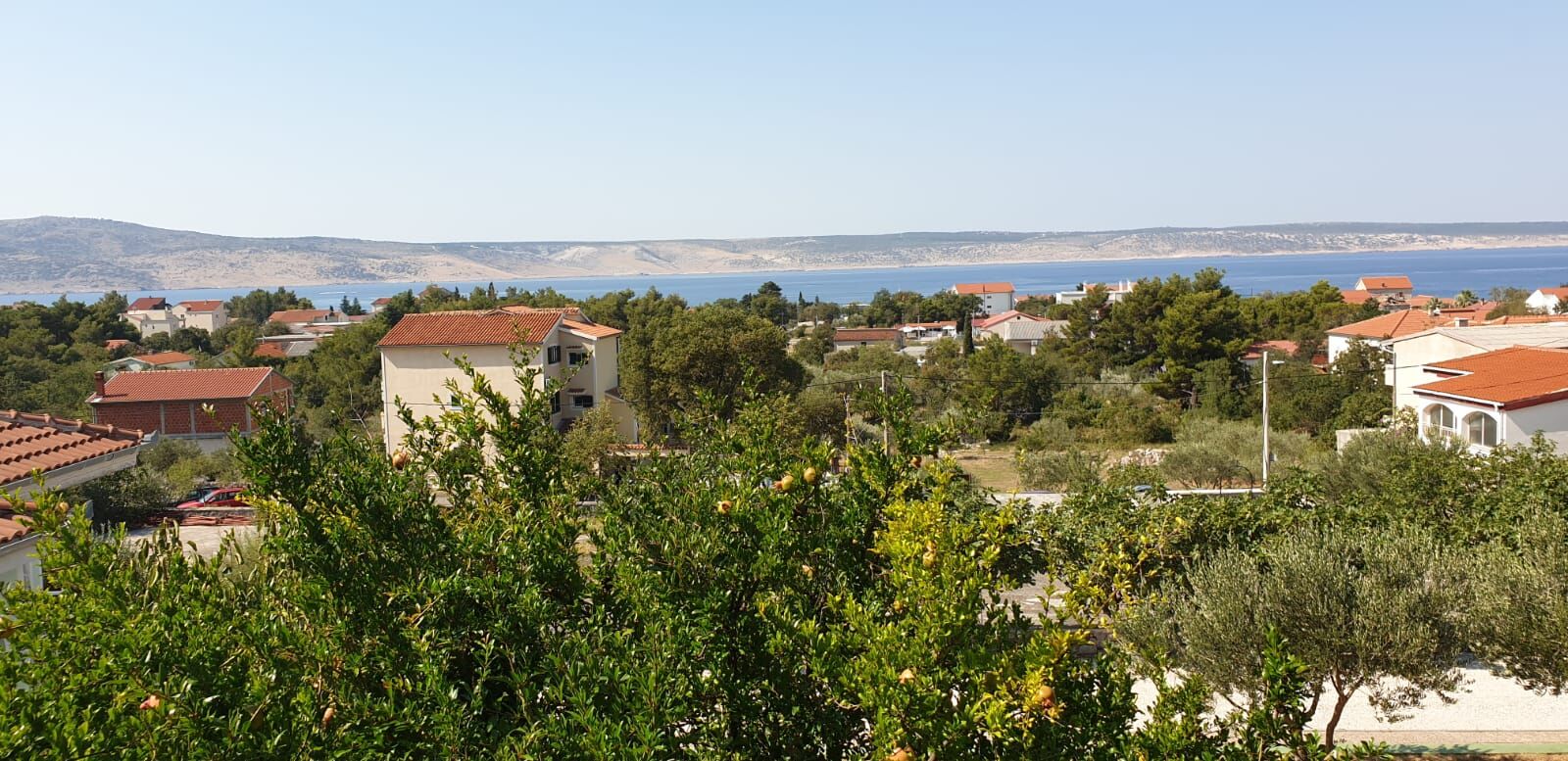 Soba Art room Jasmina with sea view S1