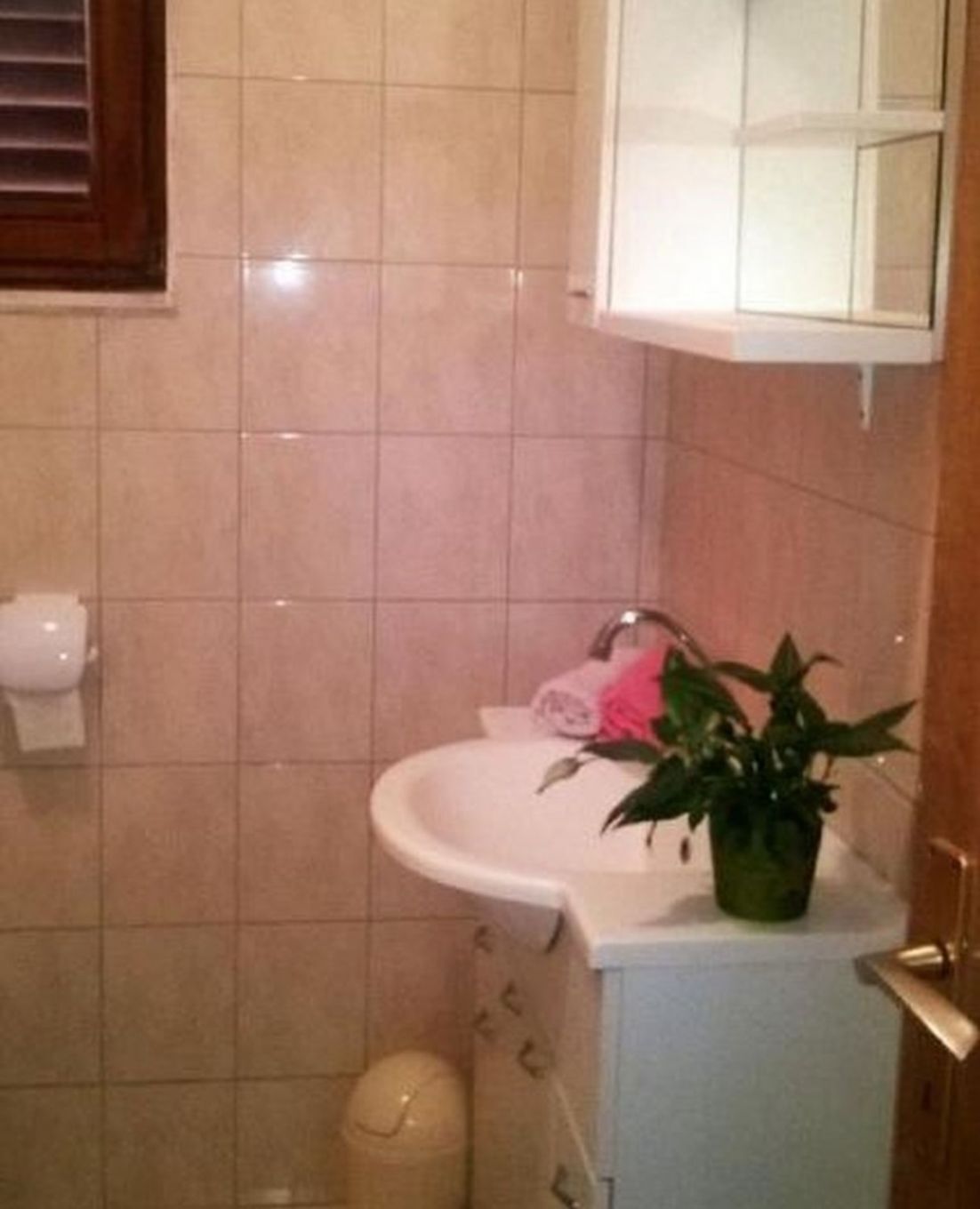 Apartment Ljilja 10838-A1