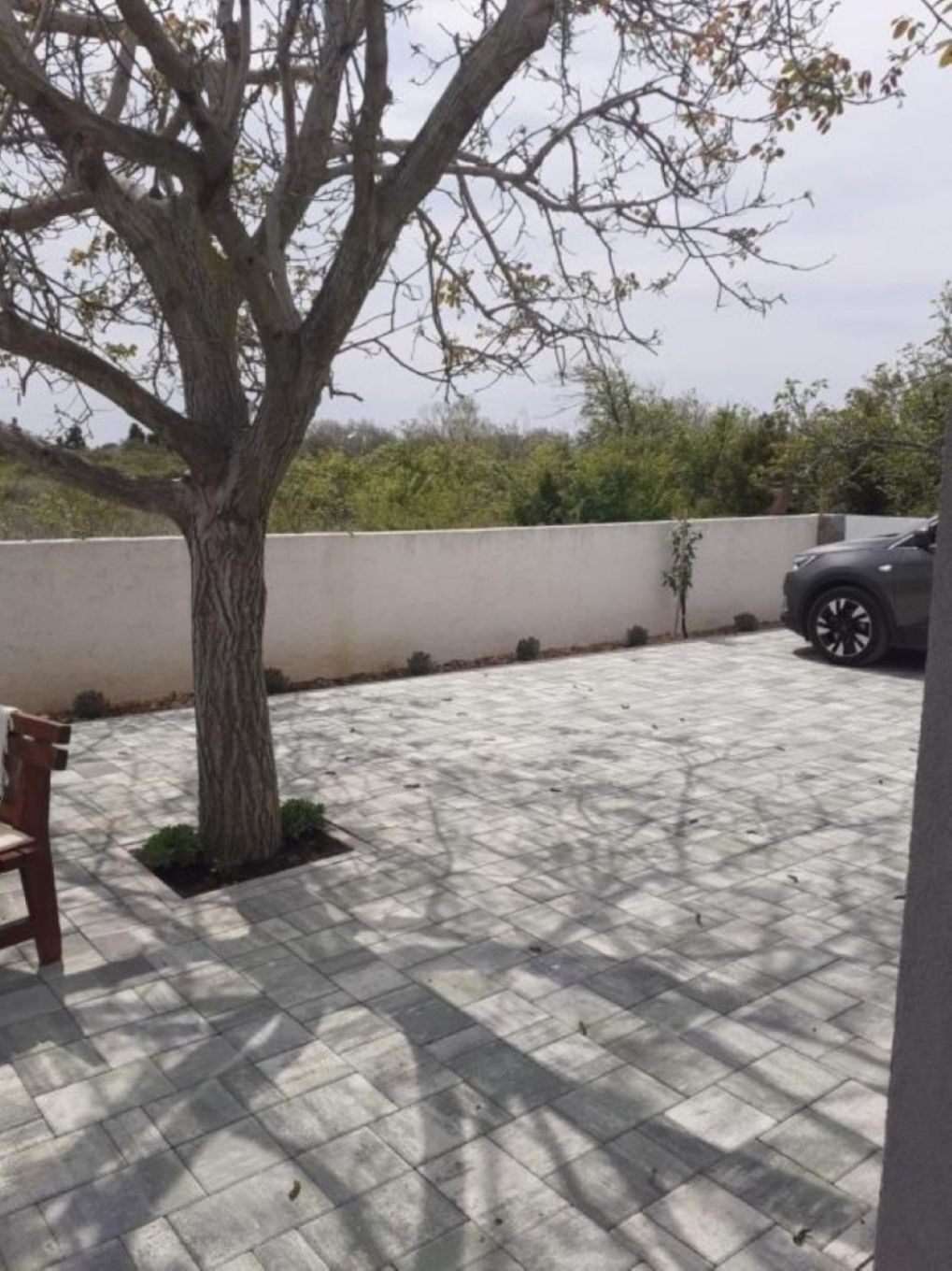 Apartment Jasmina 11186-A1