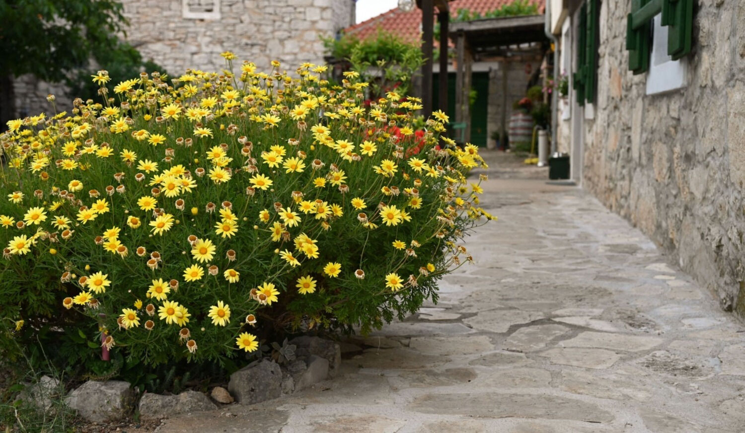 Rooms B&B Linda 11298-S2