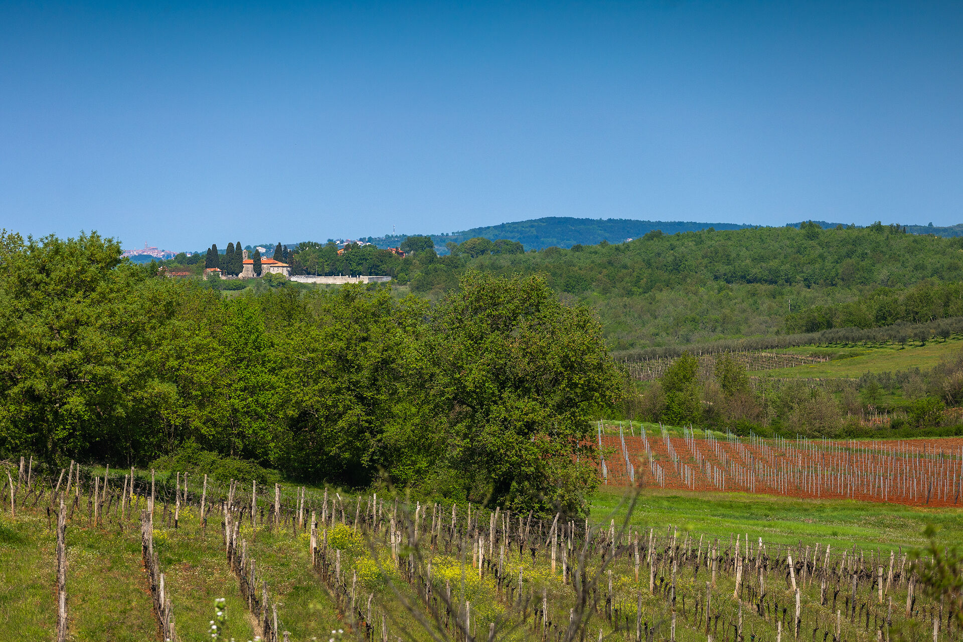 Villa Marilena s bazenom 91301-K1