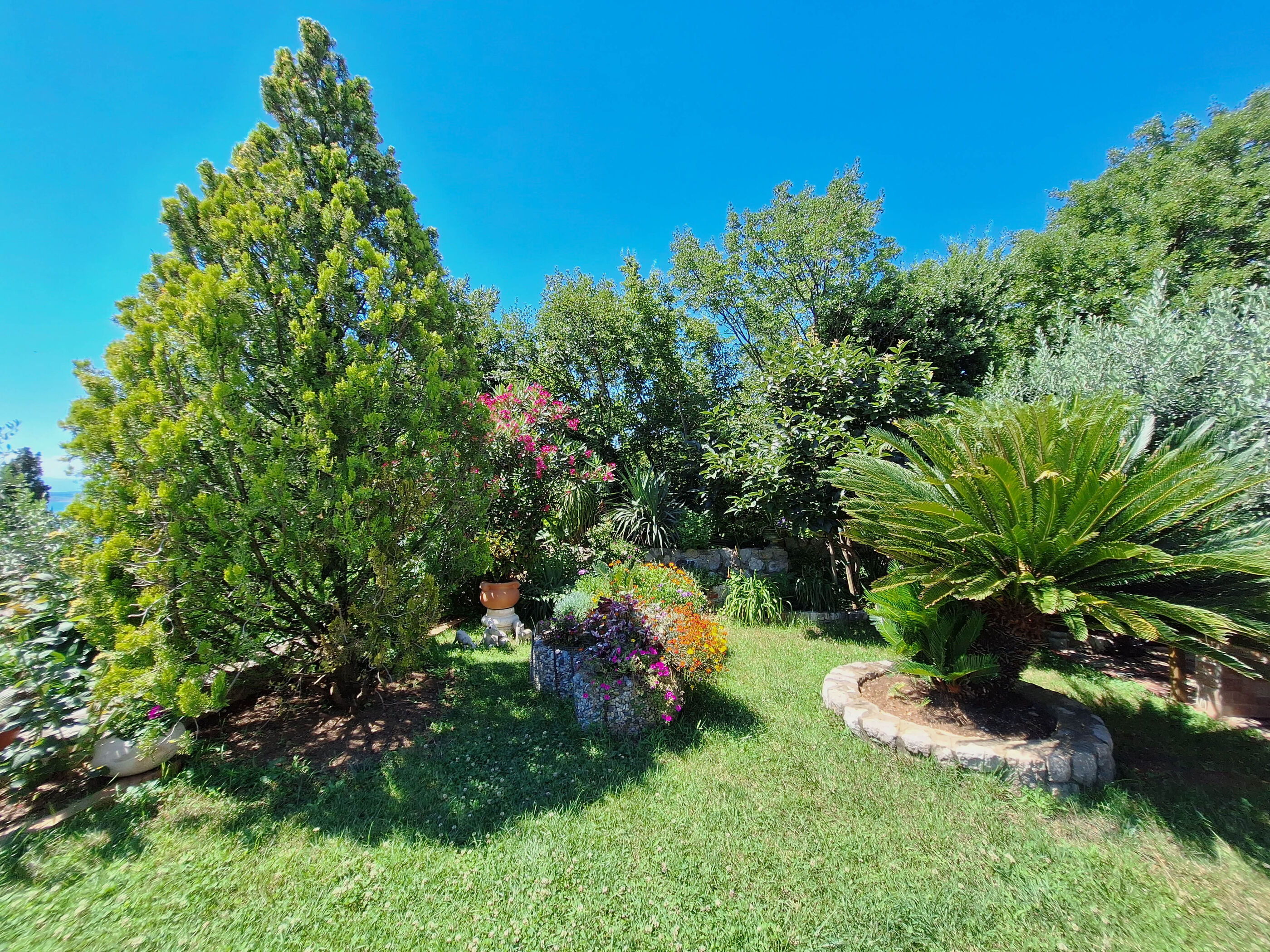 Apartments RUZA 62555-A3