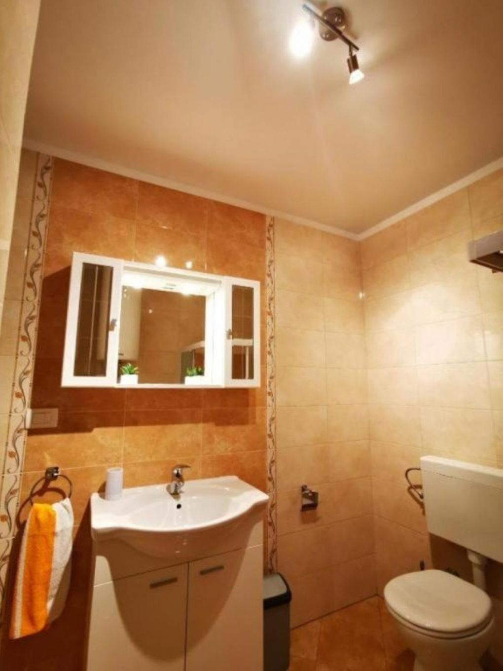 Apartments Franciska & Tihomir: 107451-A2
