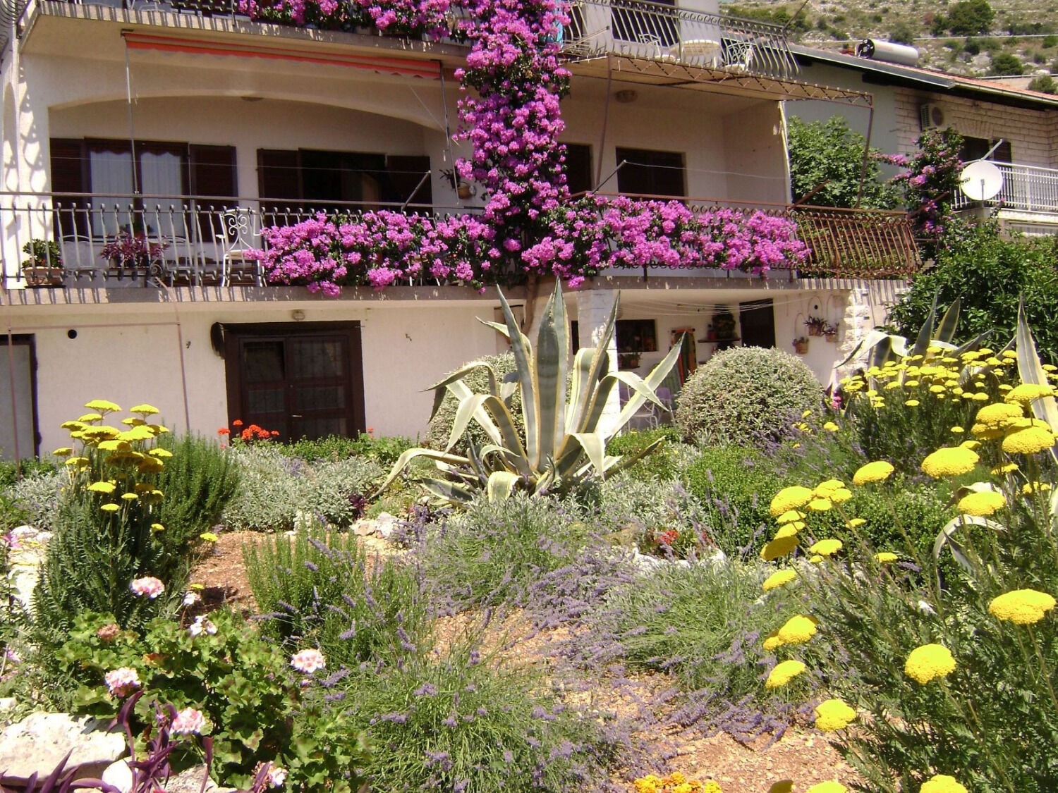 Apartments Ante 10767-A3