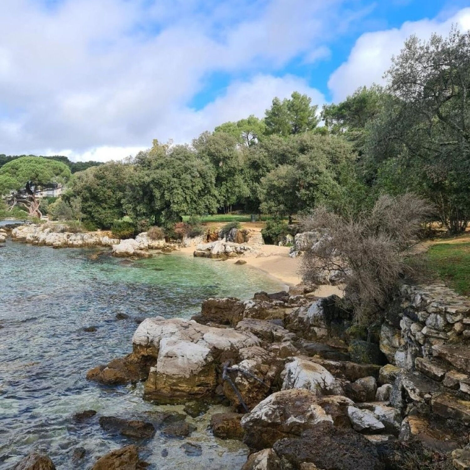 Photo of Apartments IVO